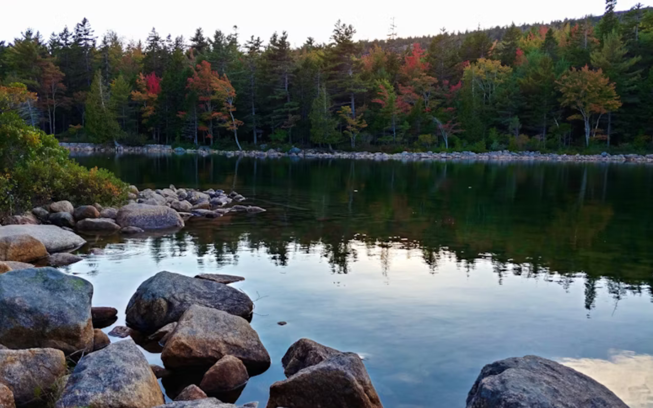 Rocky shoreline and calm waters in Bar Harbor – New England Thanksgiving getaway for families.