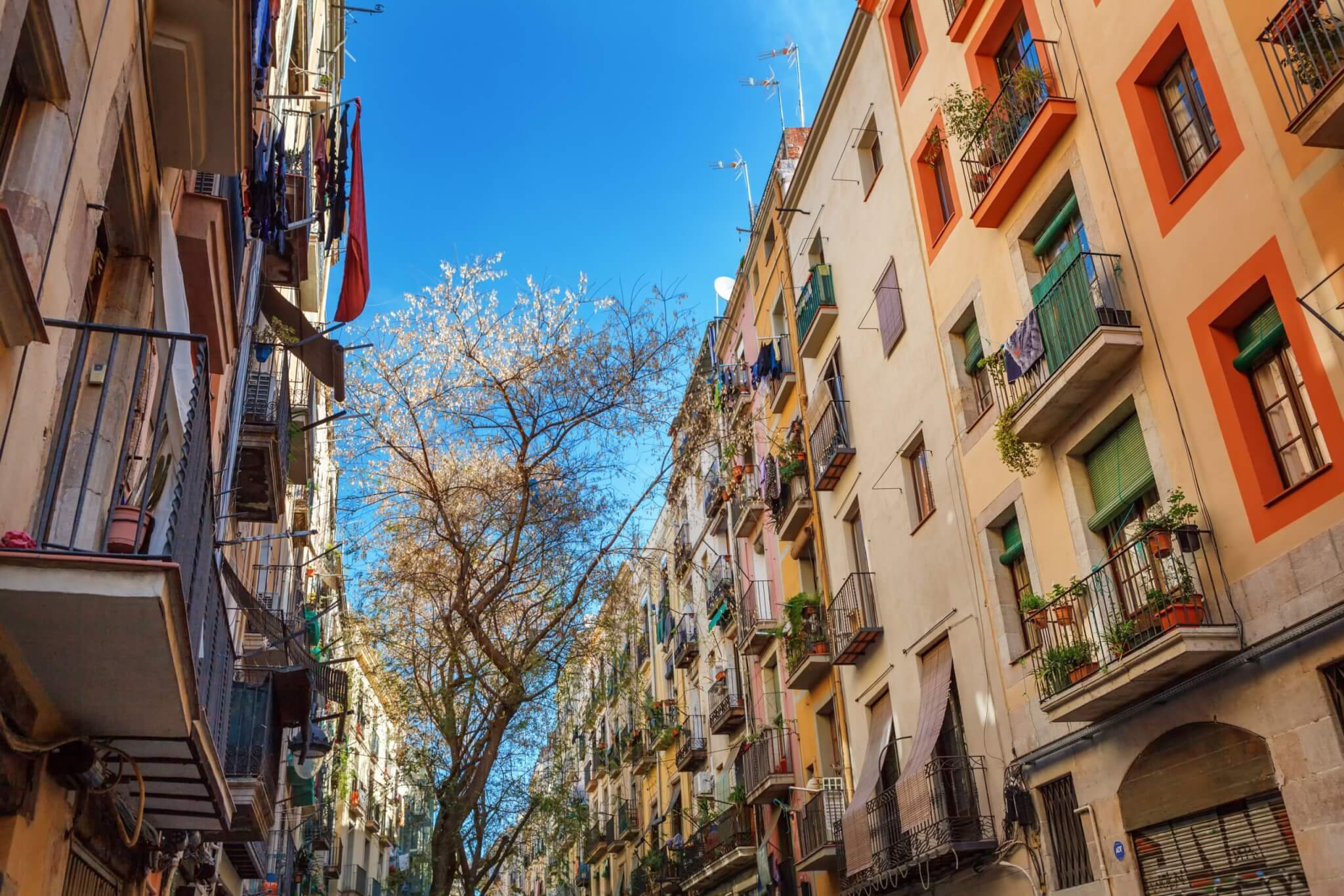 Barcelona, Spain: Medieval buildings in the Gothic Born district