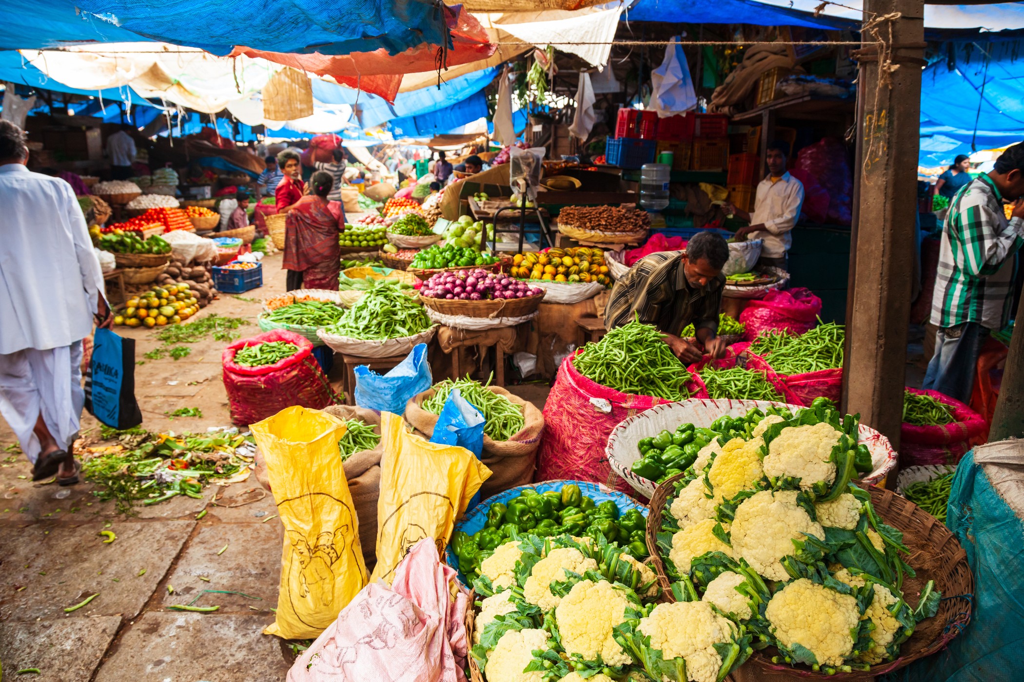 Fruits and vegetables at market in Old Delhi