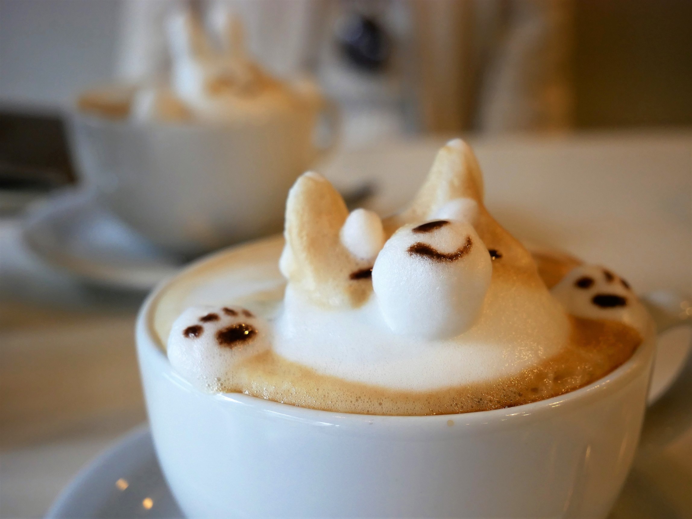 Kawai coffee japan cute milk
