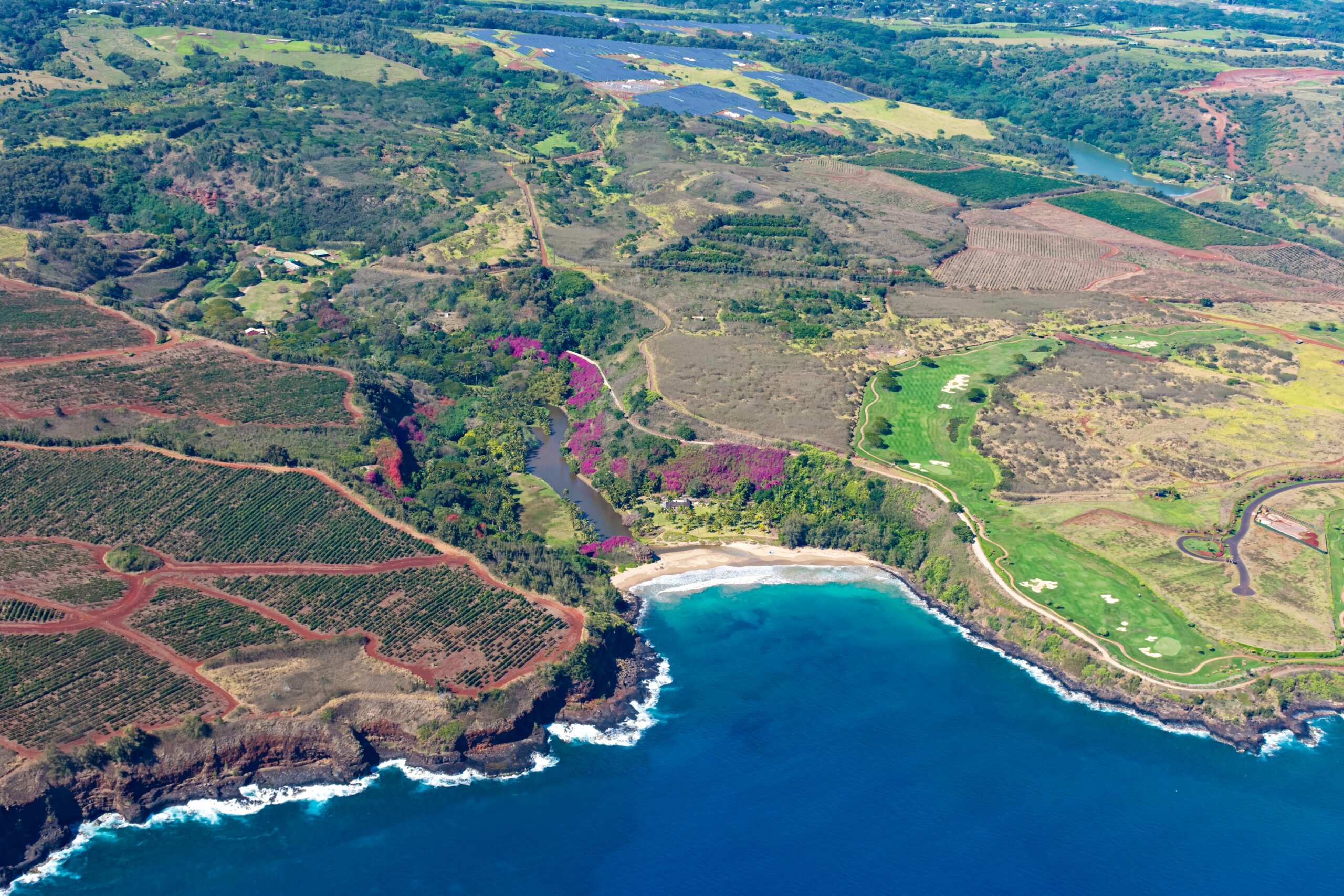 Aerial view of Kauai south coast showing coffee plantations near Poipu Kauai Hawaii USA
