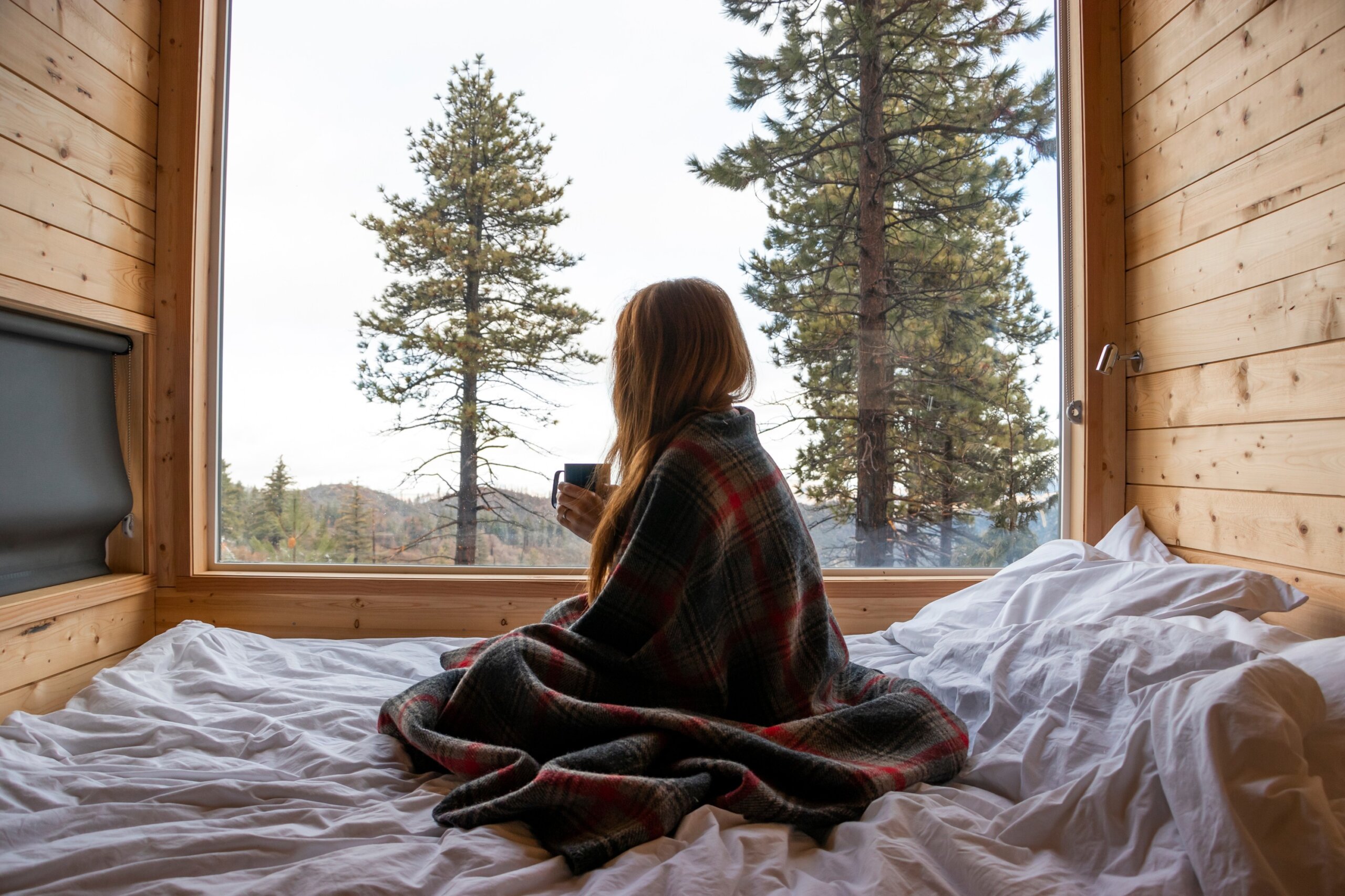 Woman wrapped in blanket with coffee inside cozy cabin overlooking fall forest trees.