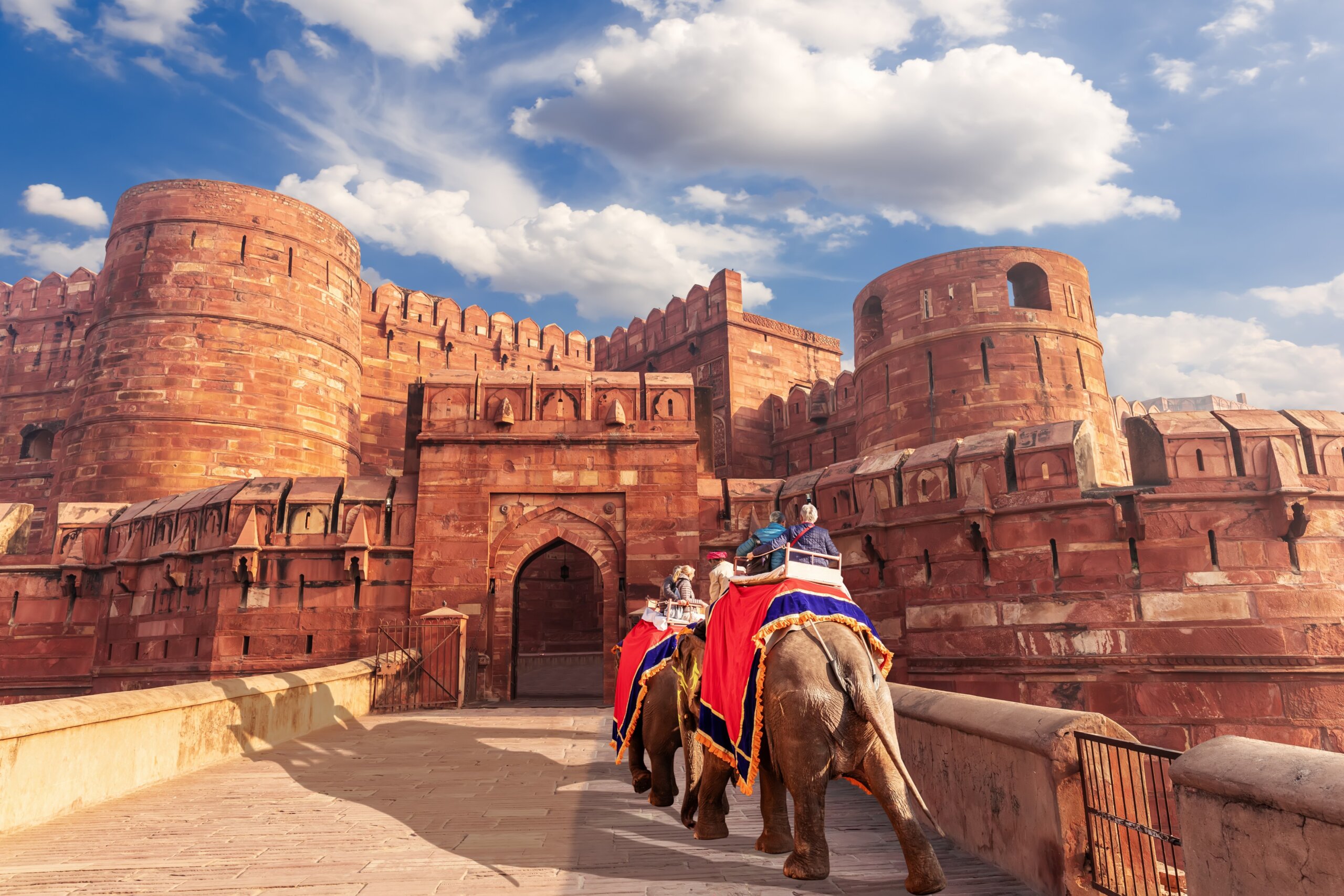 Agra Fort and elephants, view of India
