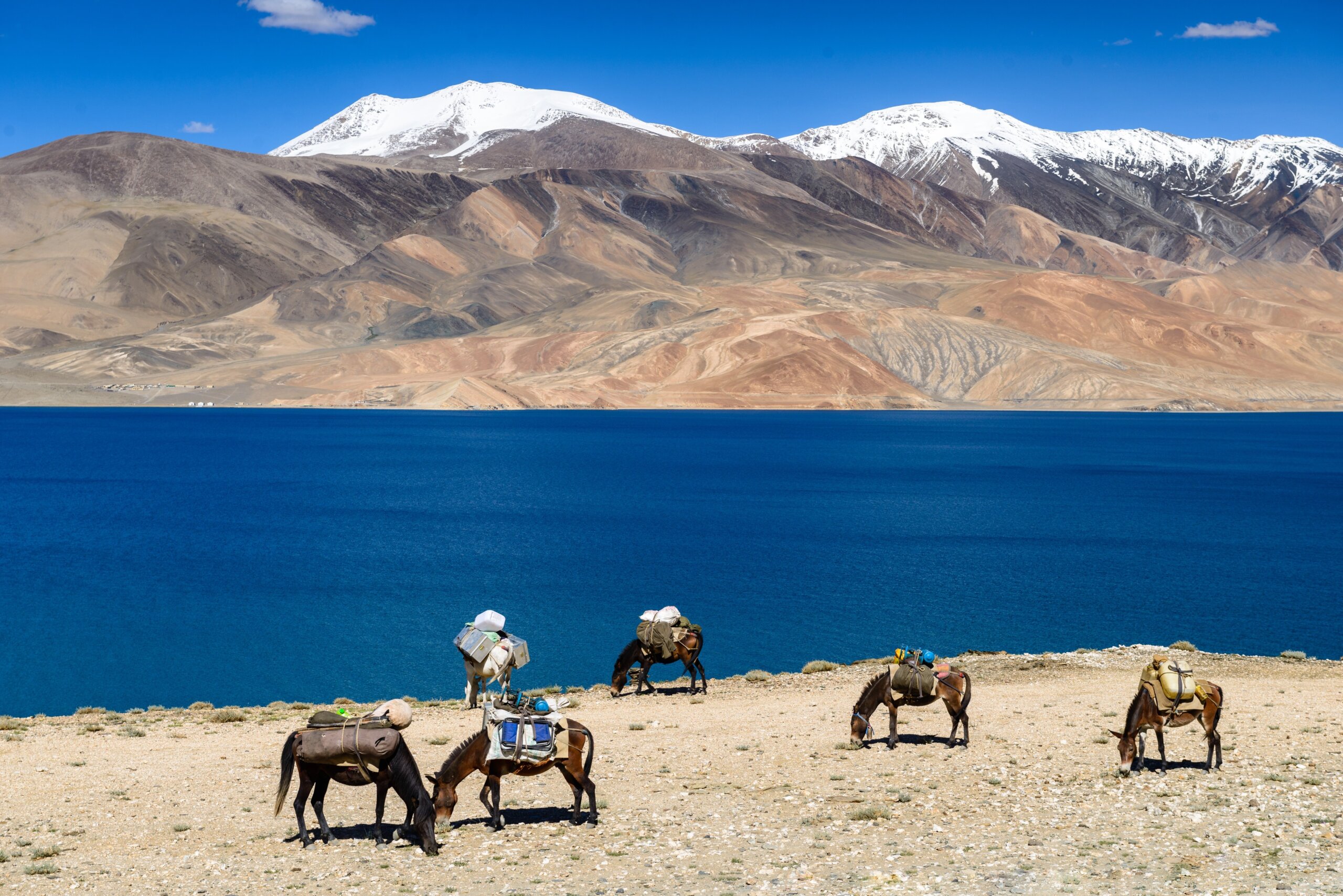 Tso Moriri Lake in the Karakorum Mountains near Leh, India. This region is a purpose of motorcycle expeditions organised by Indians