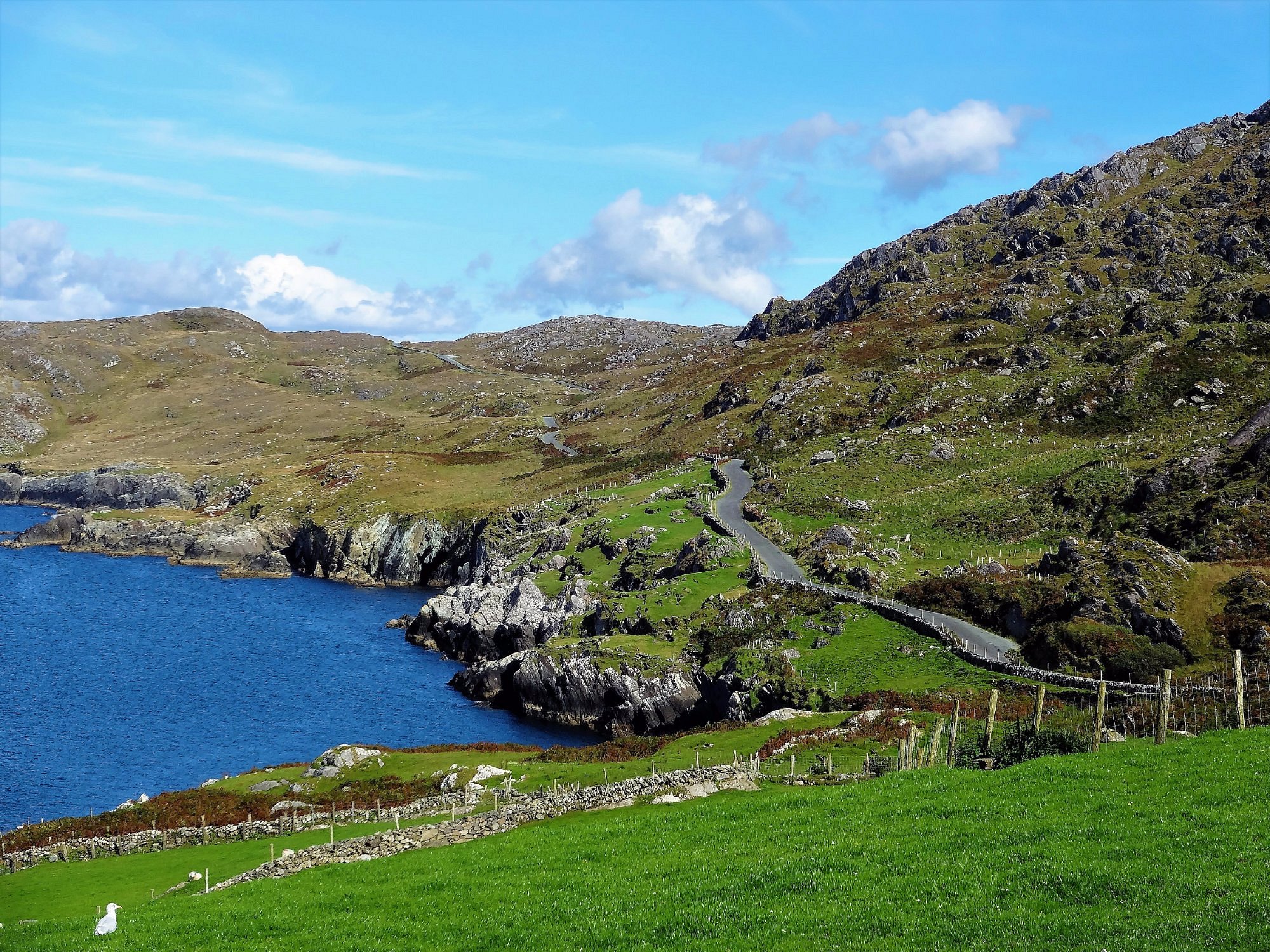 the beara way