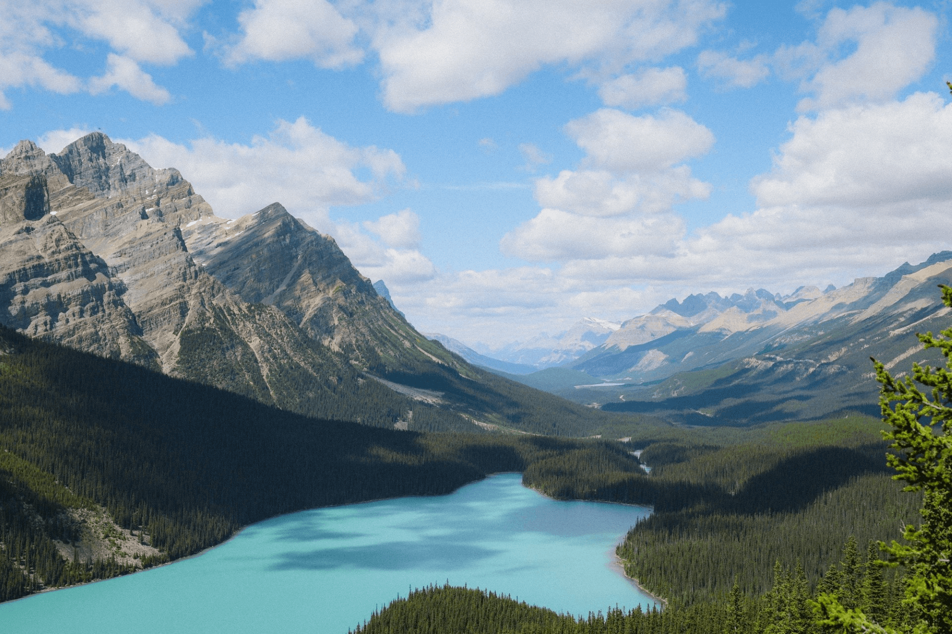 Peyto lake from the Peyto lake lookout. 