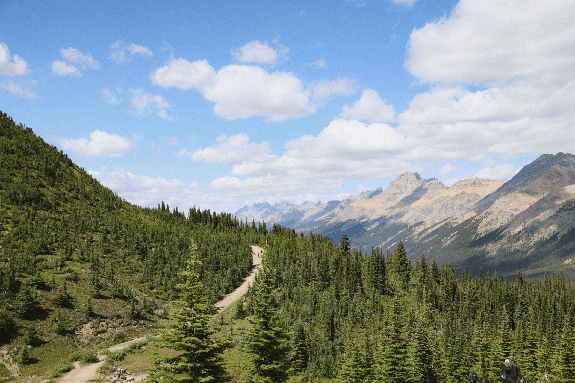 Views from the bow lake summit trail. 