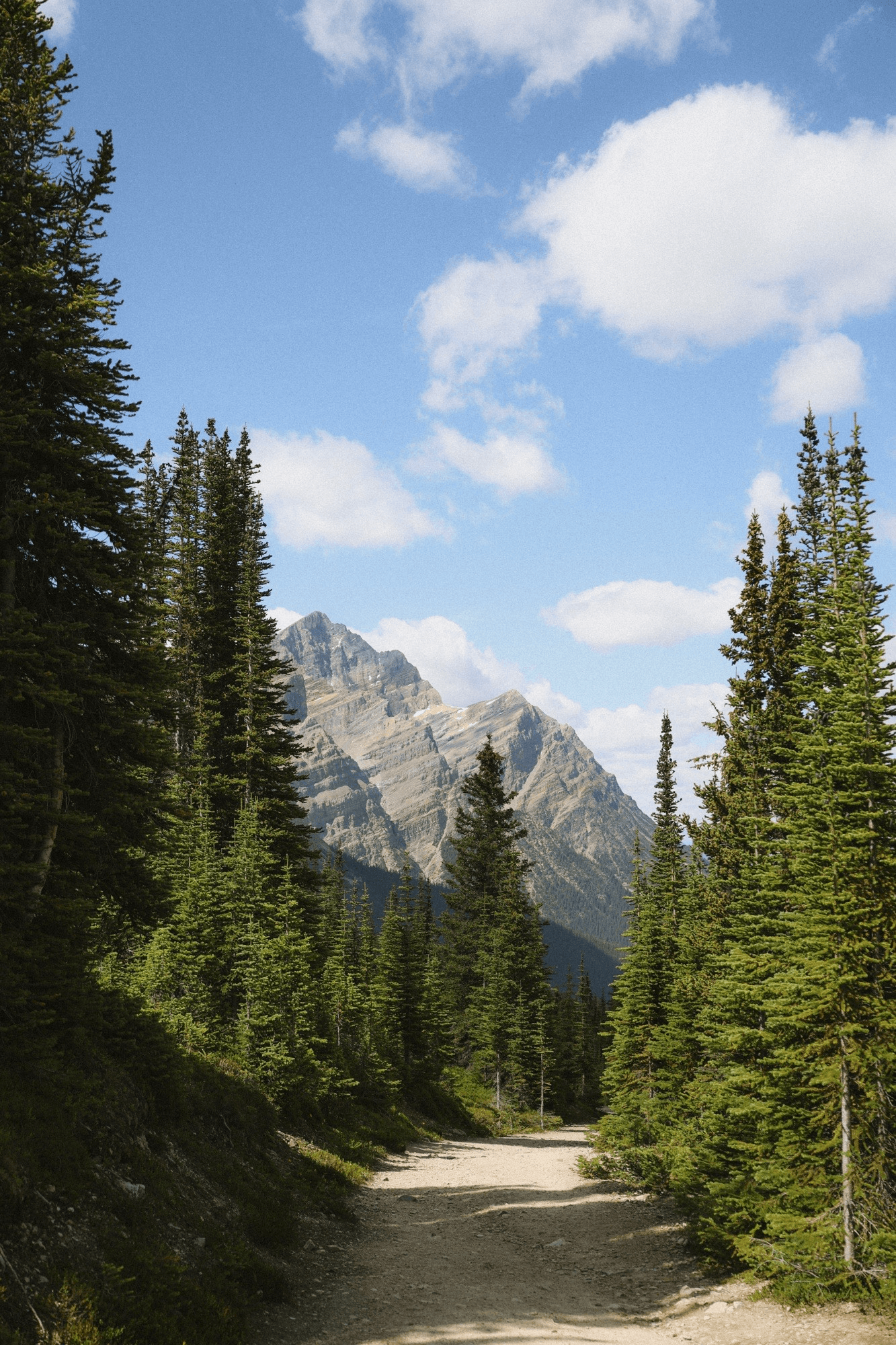 Bow lake summit trail.