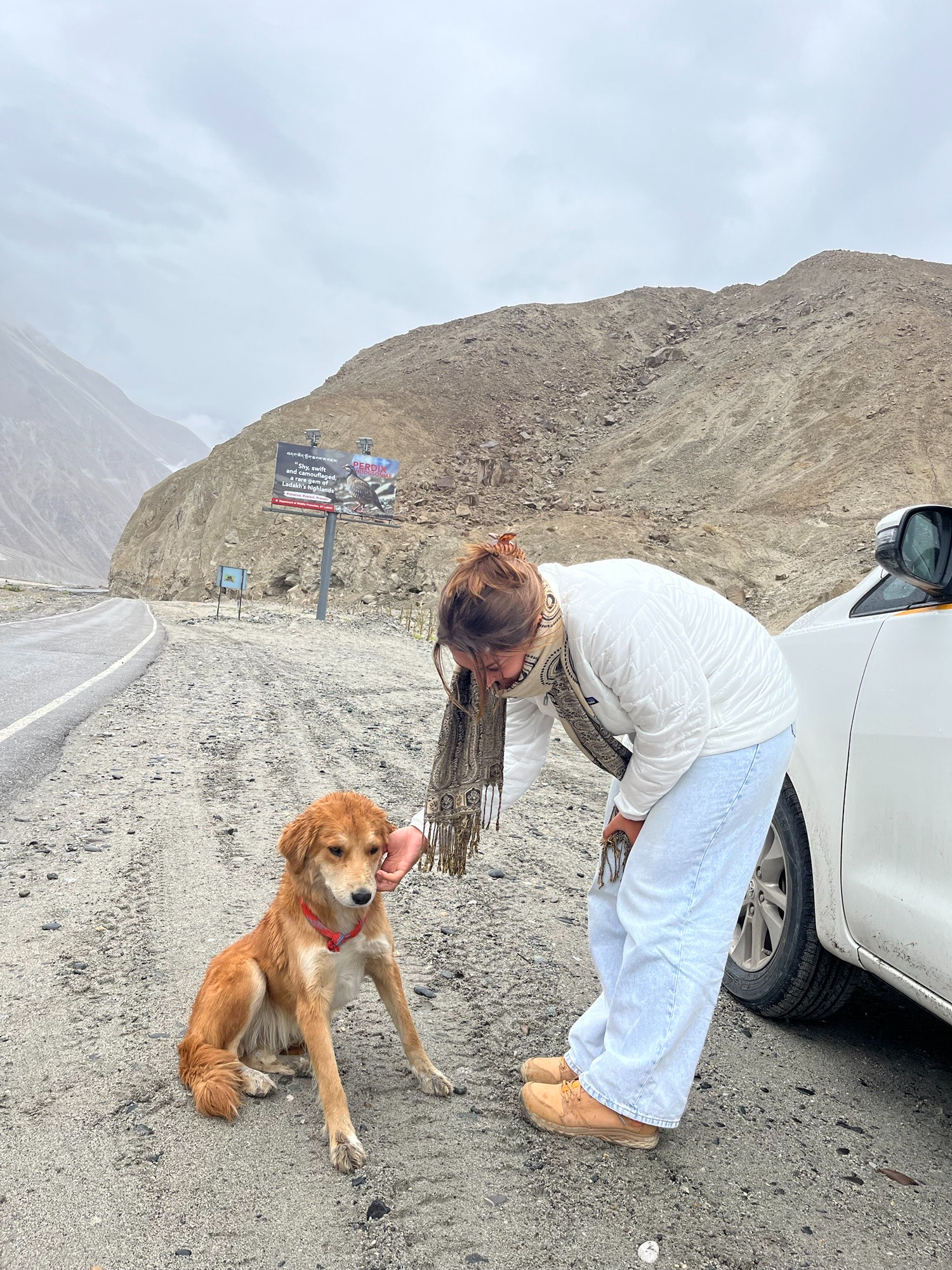 Woman petting a stray dog on a mountain roadside during travel, symbolizing mindfulness and presence.