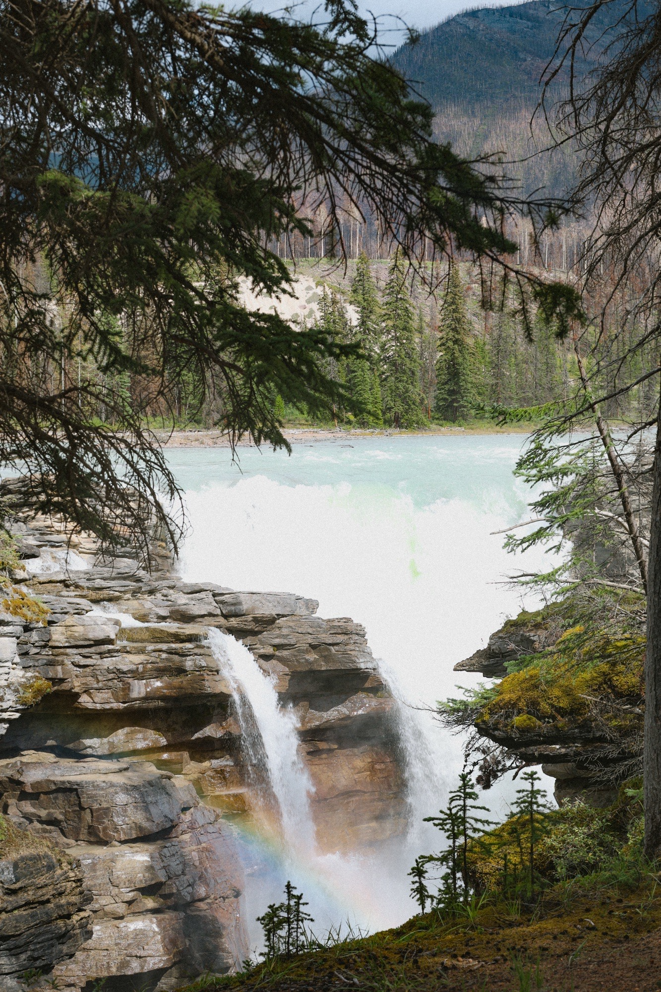 Athabasca falls located close to Jasper.