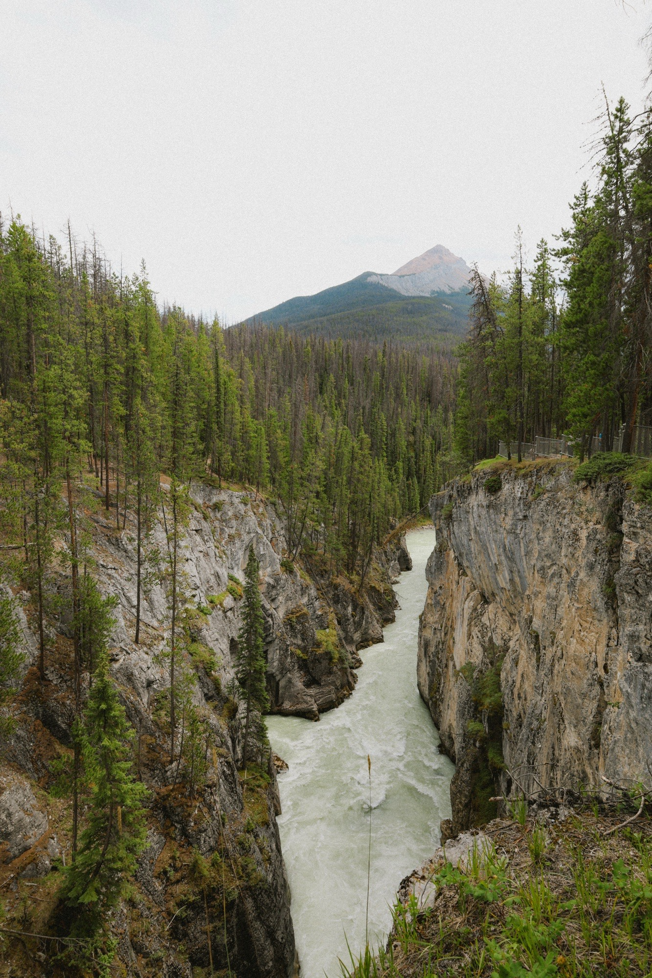 Sunwapta falls. 