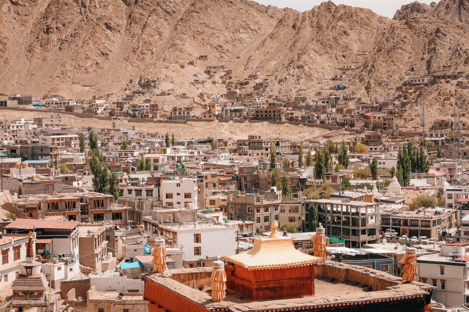 The city of Leh from the Leh palace.

