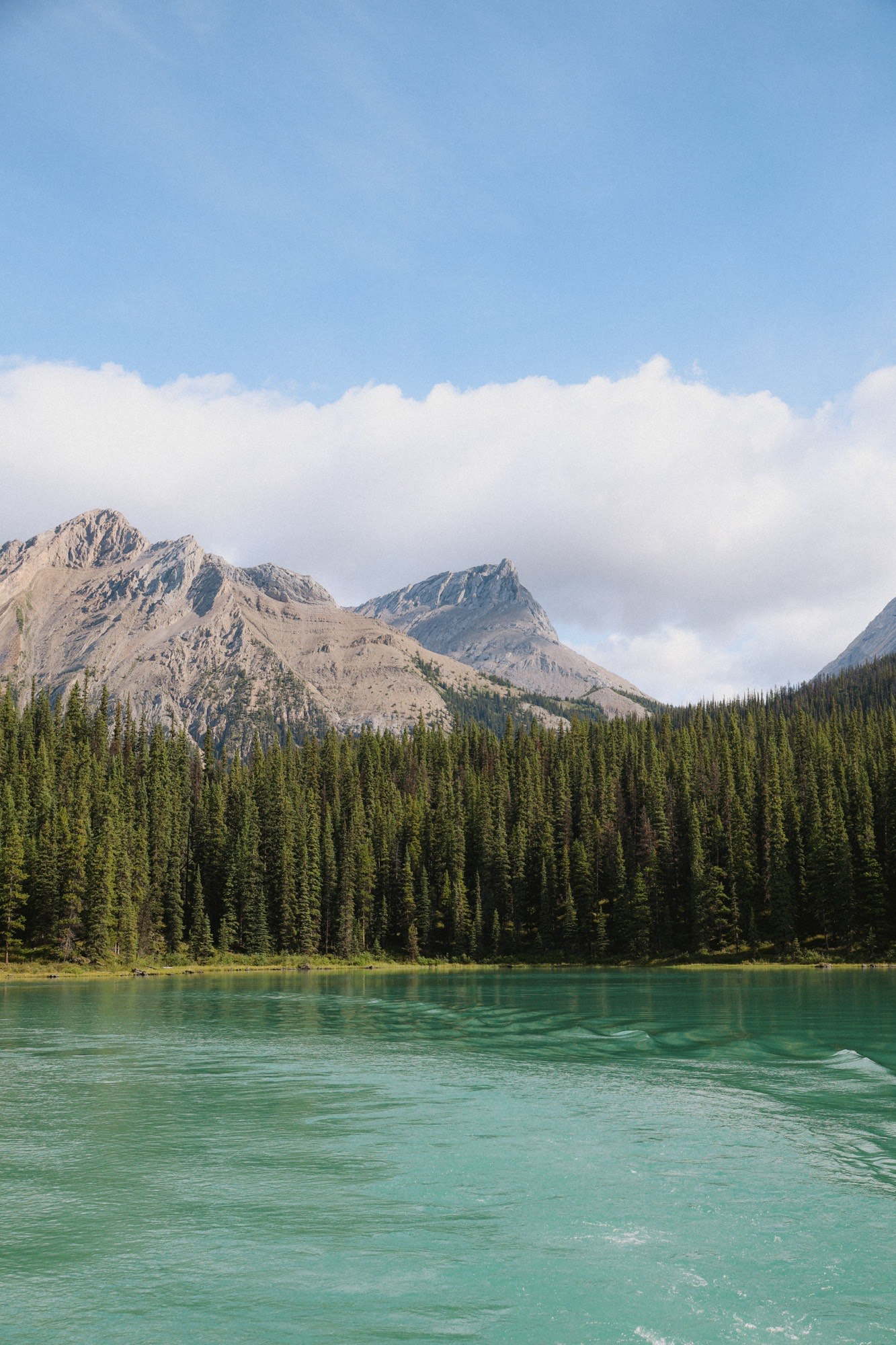 Views from the maligne lake cruise.