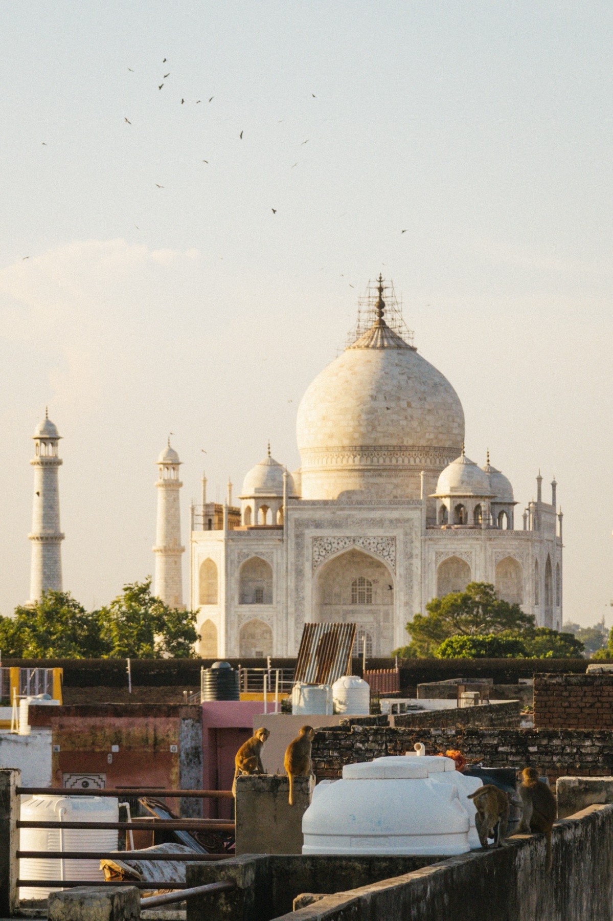 Views from the rooftop of Joeys Hostel Agra.