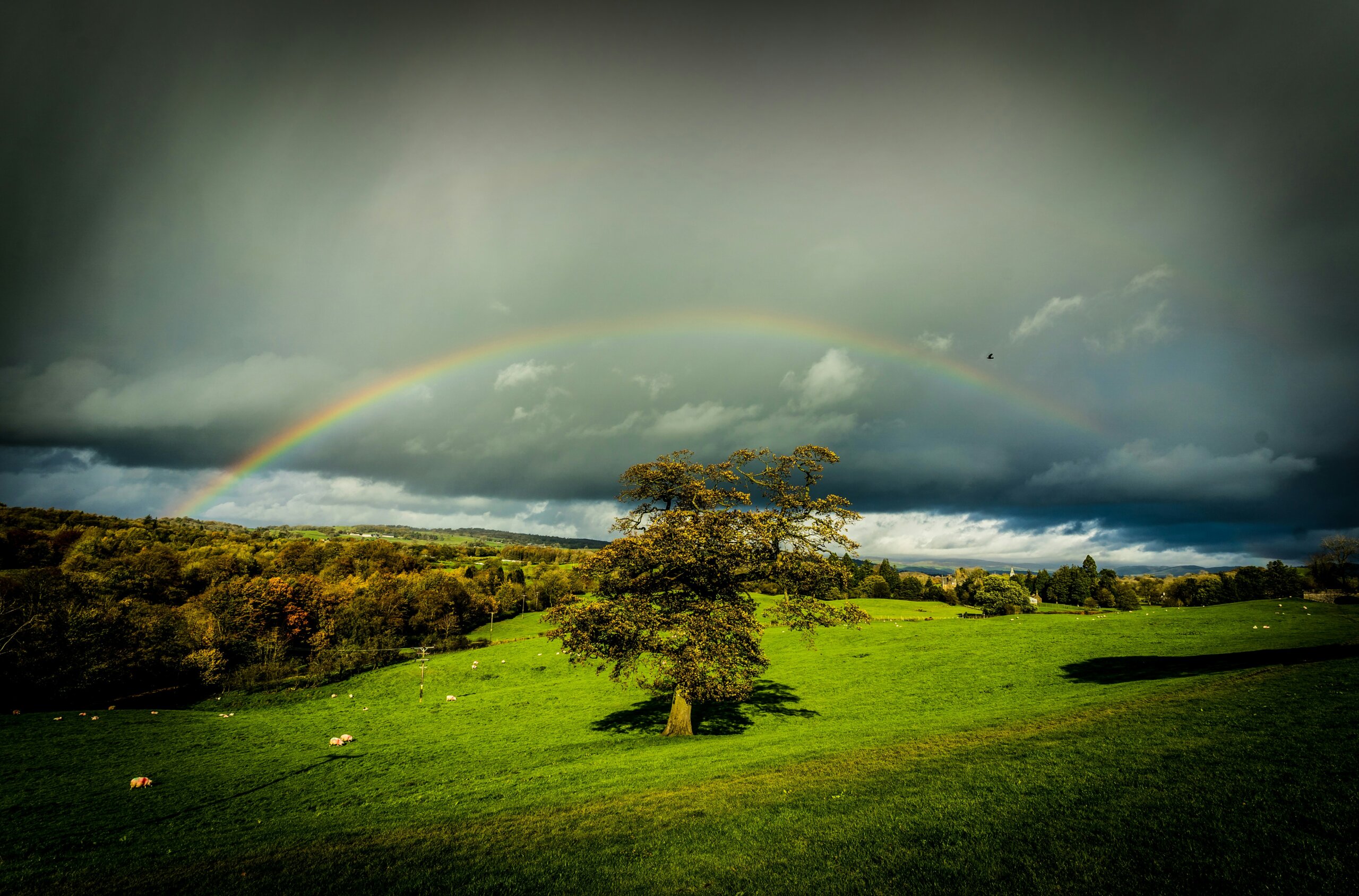 rainbow in ireland