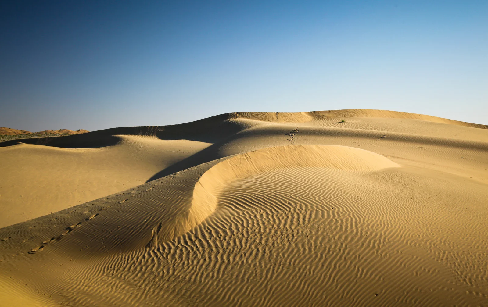 Golden sand dunes of the Thar Desert under a clear sky — a breathtaking experience for travelers camping overnight near Jaisalmer in India.