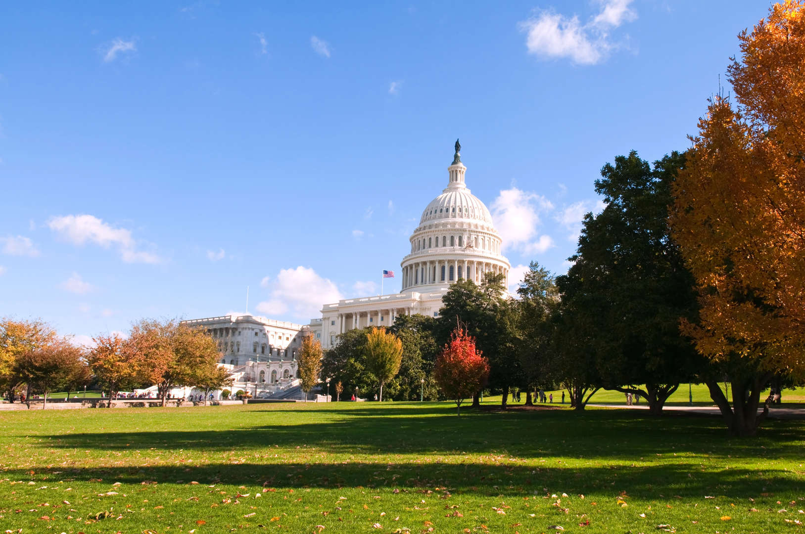 the capitol building in Washington D.C.