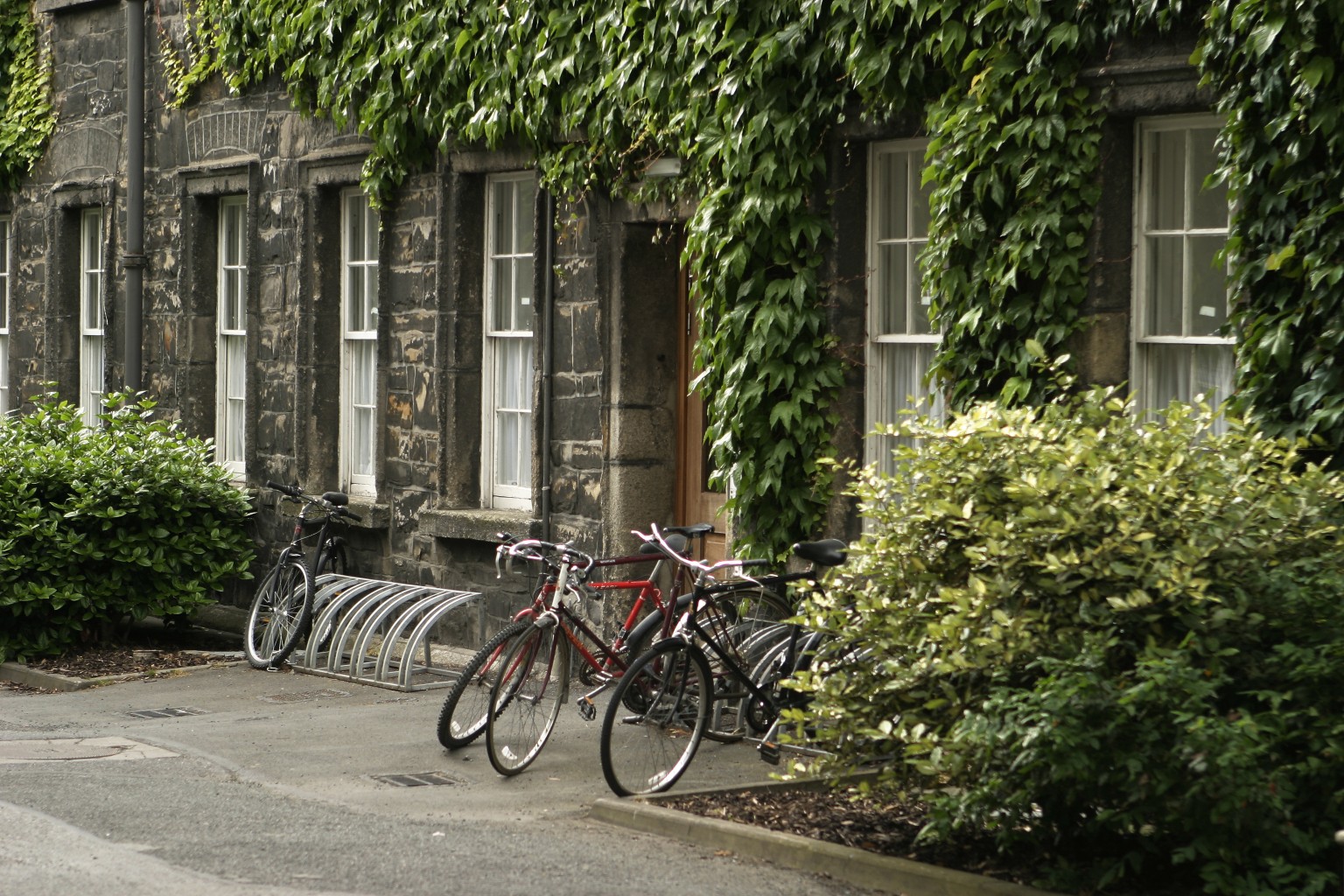 bikes at trinity college
