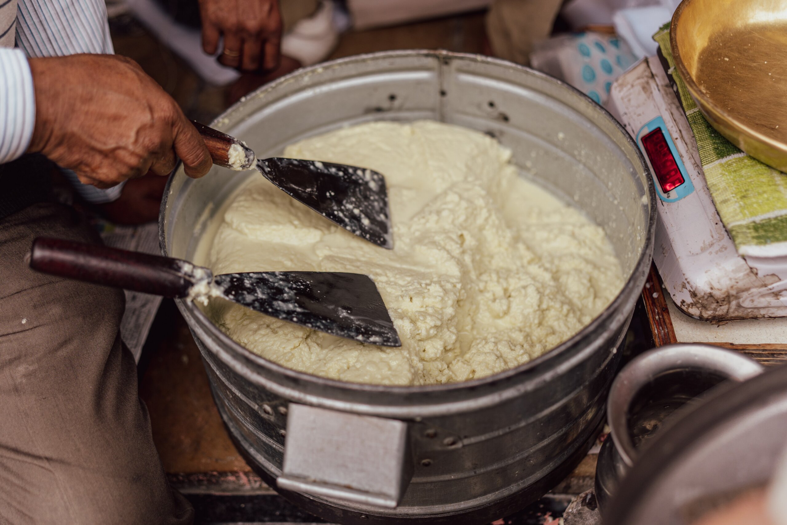 Fresh Paneer Being Cut and Sold at a Local Dairy Stall in Jaipur, India