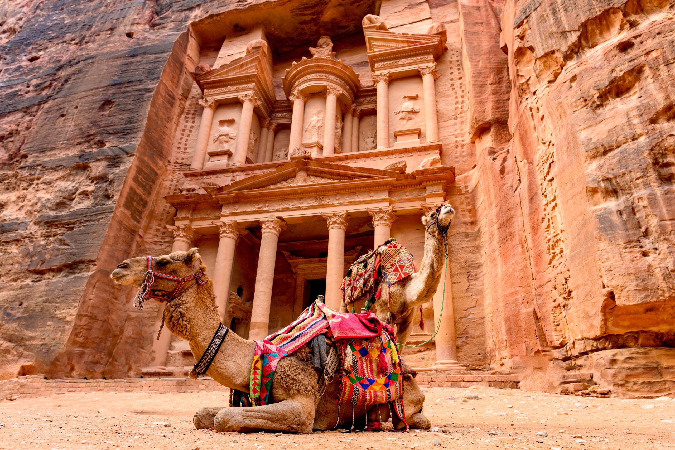 Spectacular view of two beautiful camels in front of Al Khazneh (The Treasury) in Petra. Petra is a historical and archaeological city in southern Jordan.