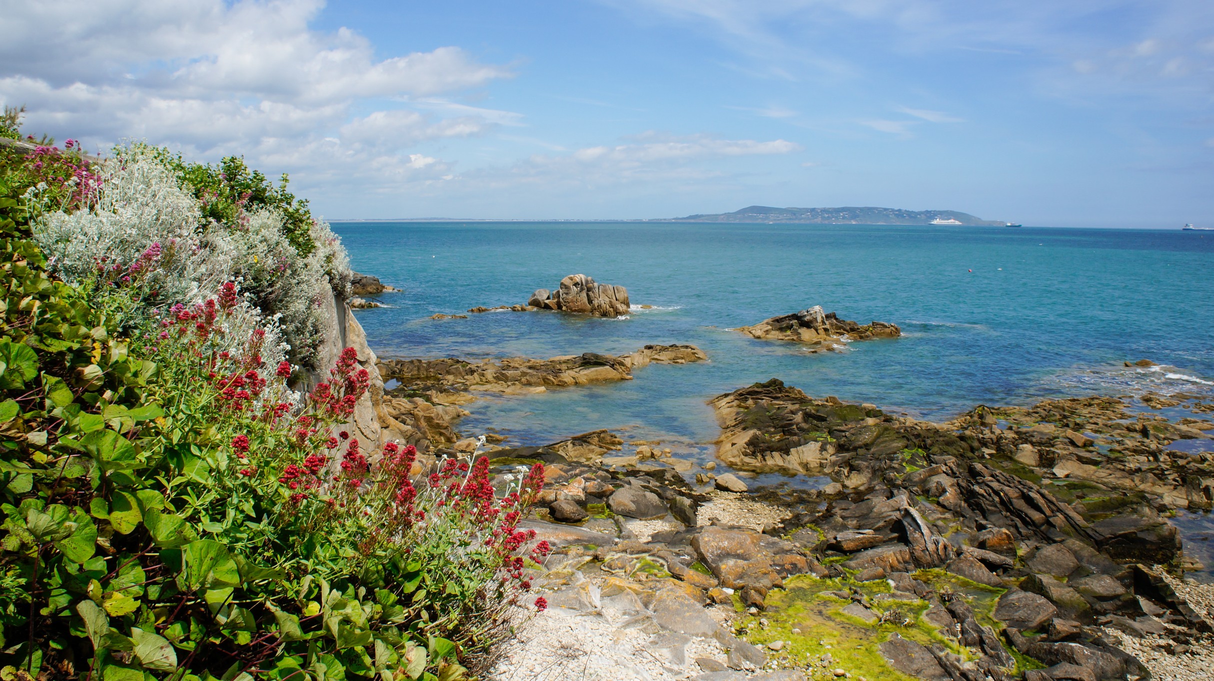 Beautiful seascape with rocks rising from the sea water, a distant island and Red Valerian flowers on the shore. Landscape on the Irish East Coast in Sandycove, Dublin, Ireland. Irish summer. See Less
