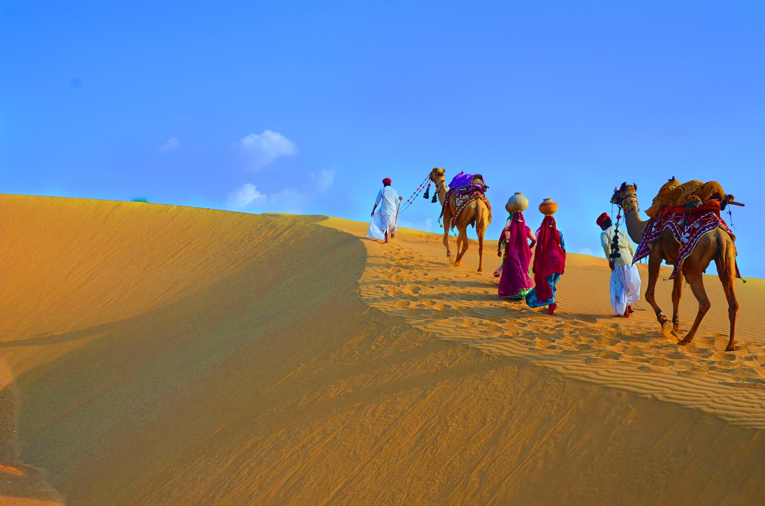 Two cameleers and women with camels walking on sand dunes of thar desert against blue sky , Jaisalmer, Rajasthan, India
