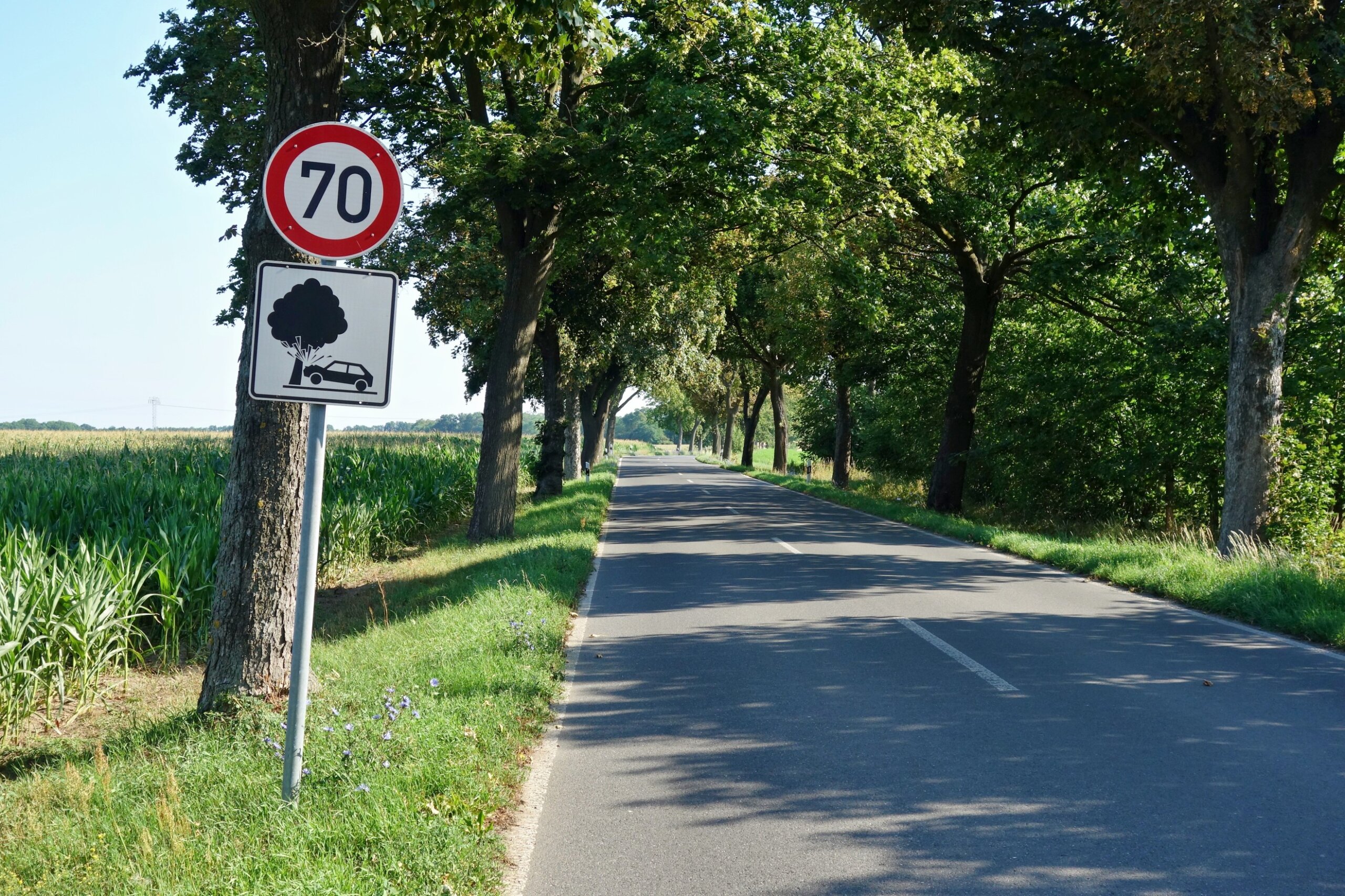 Germany road sign speed and warning collision with trees
