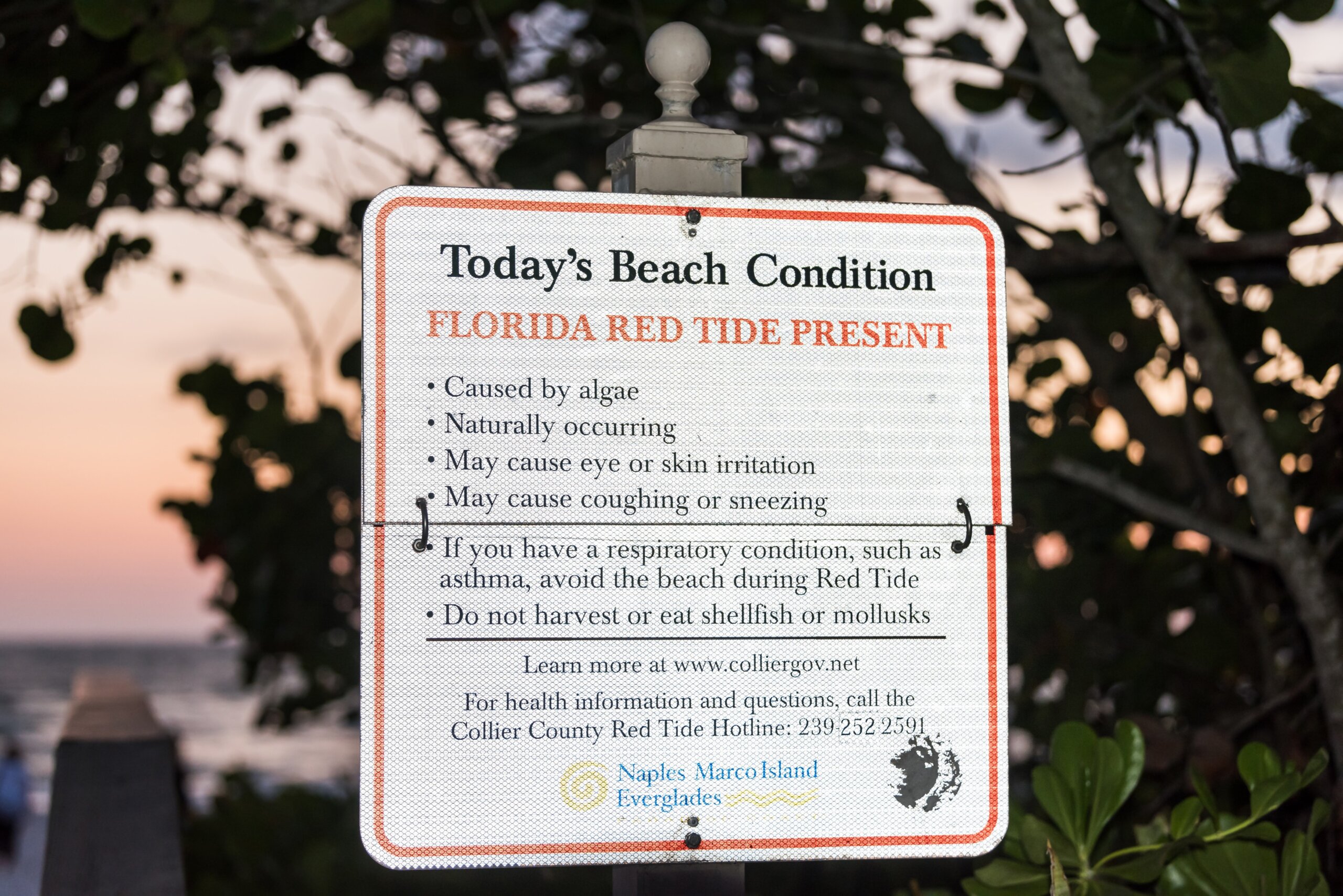 Florida pink, red and orange sunset in gulf of Mexico with sign for red tide dead fish algae bloom warning