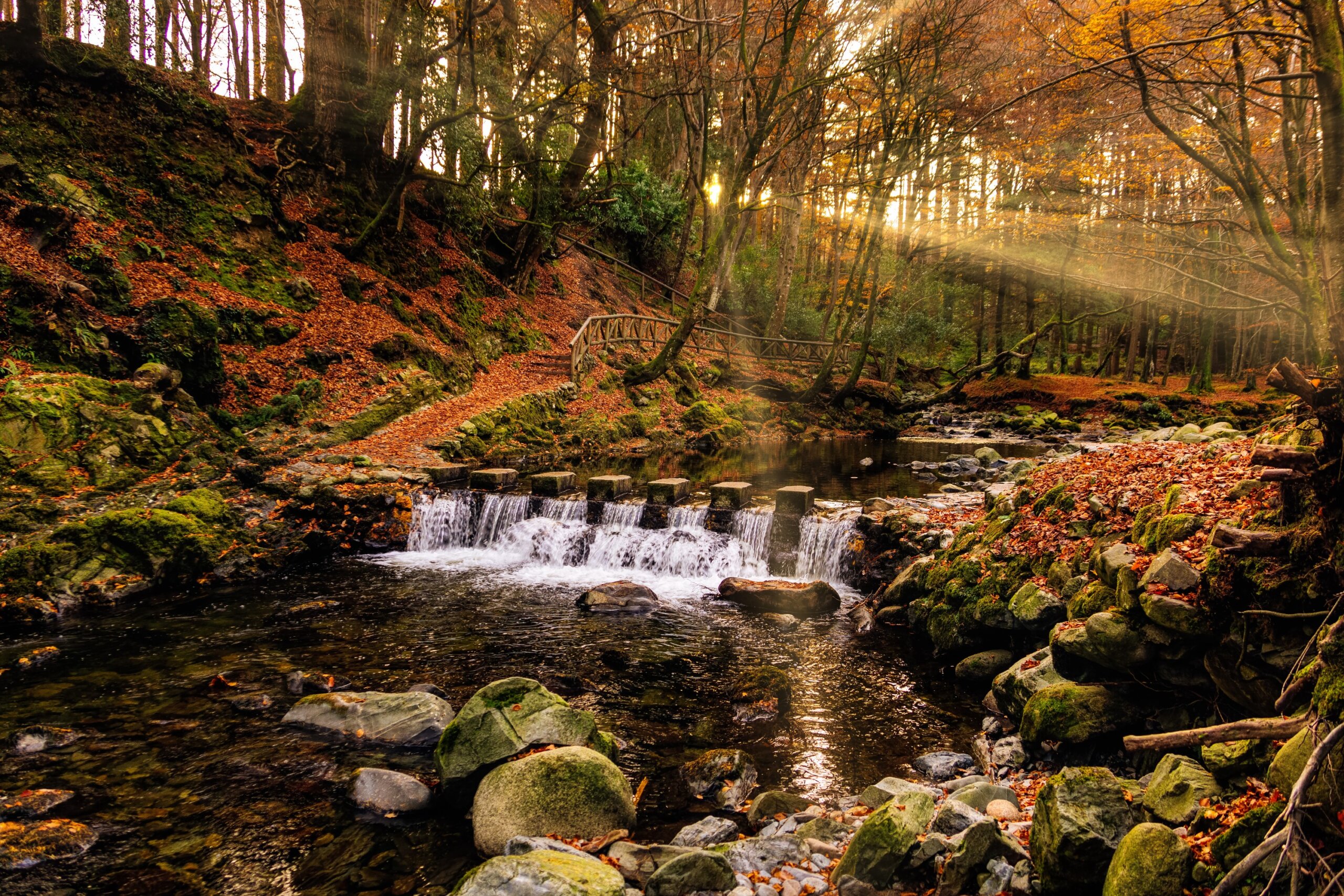 Cascade on river and footpath with sunbeams shining through branches, golden coloured autumn trees, Tollymore Forest Park. Newcastle, Northern Ireland
