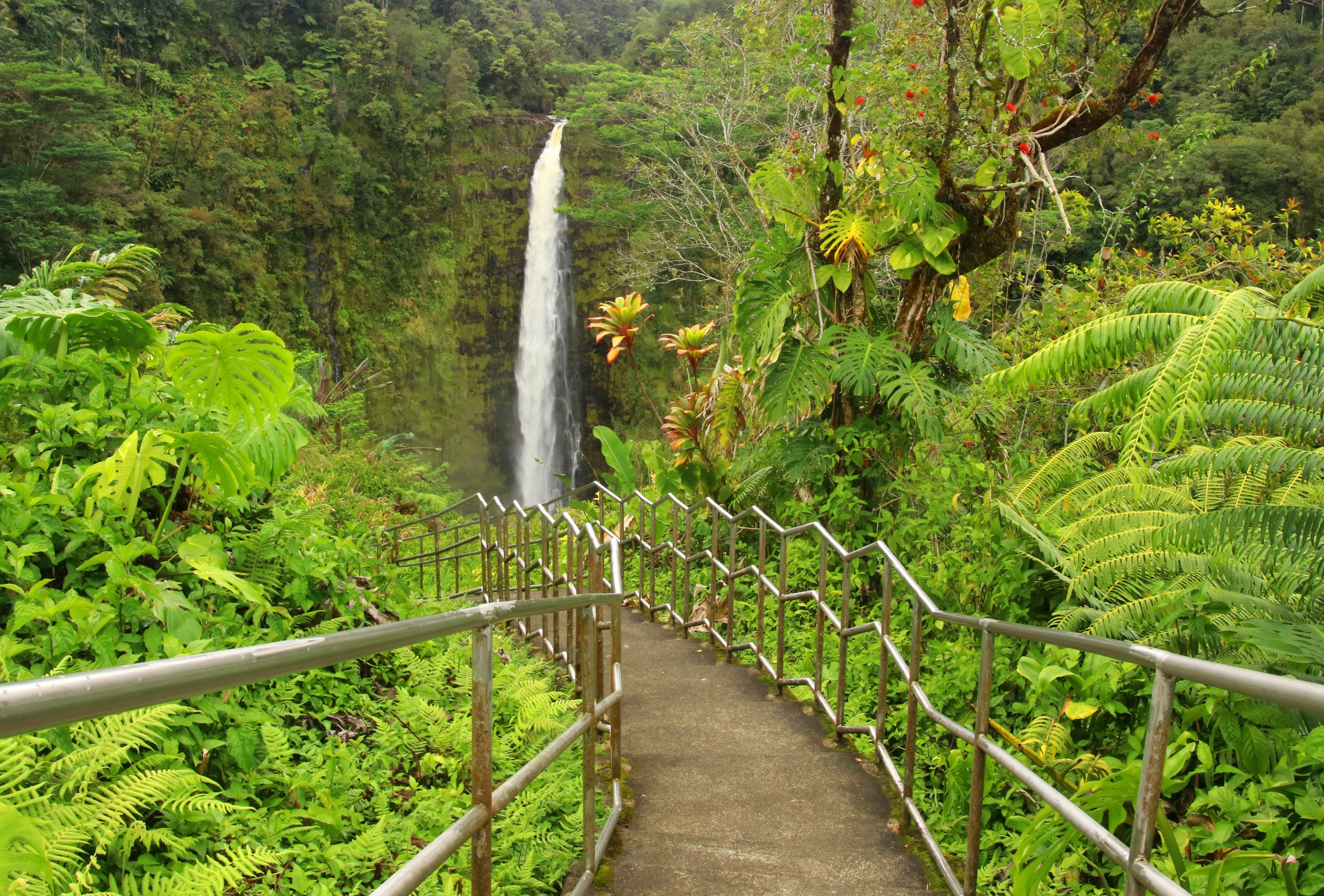 long-term travel fatigue - Beautiful Hawaii Big Island nature background. Scenic landscape with boardwalk to waterfall inside the rainforest. Akaka Falls State Park, Hawaii Big Island, USA.
