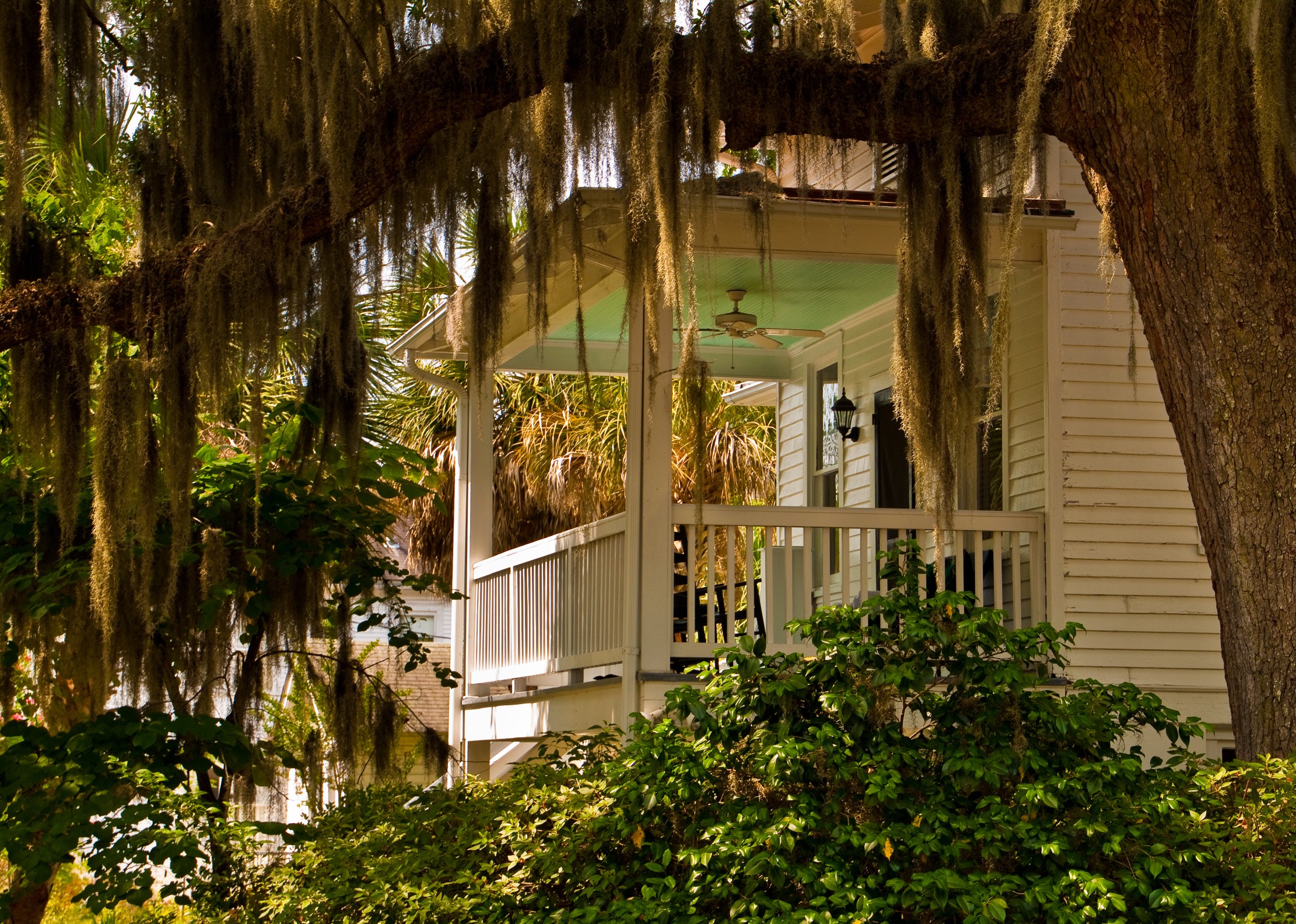 Live Oak Tree Draped With Spanish Moss and Historic Home Near Waterfront Park, Beaufort, South Carolina, USA
