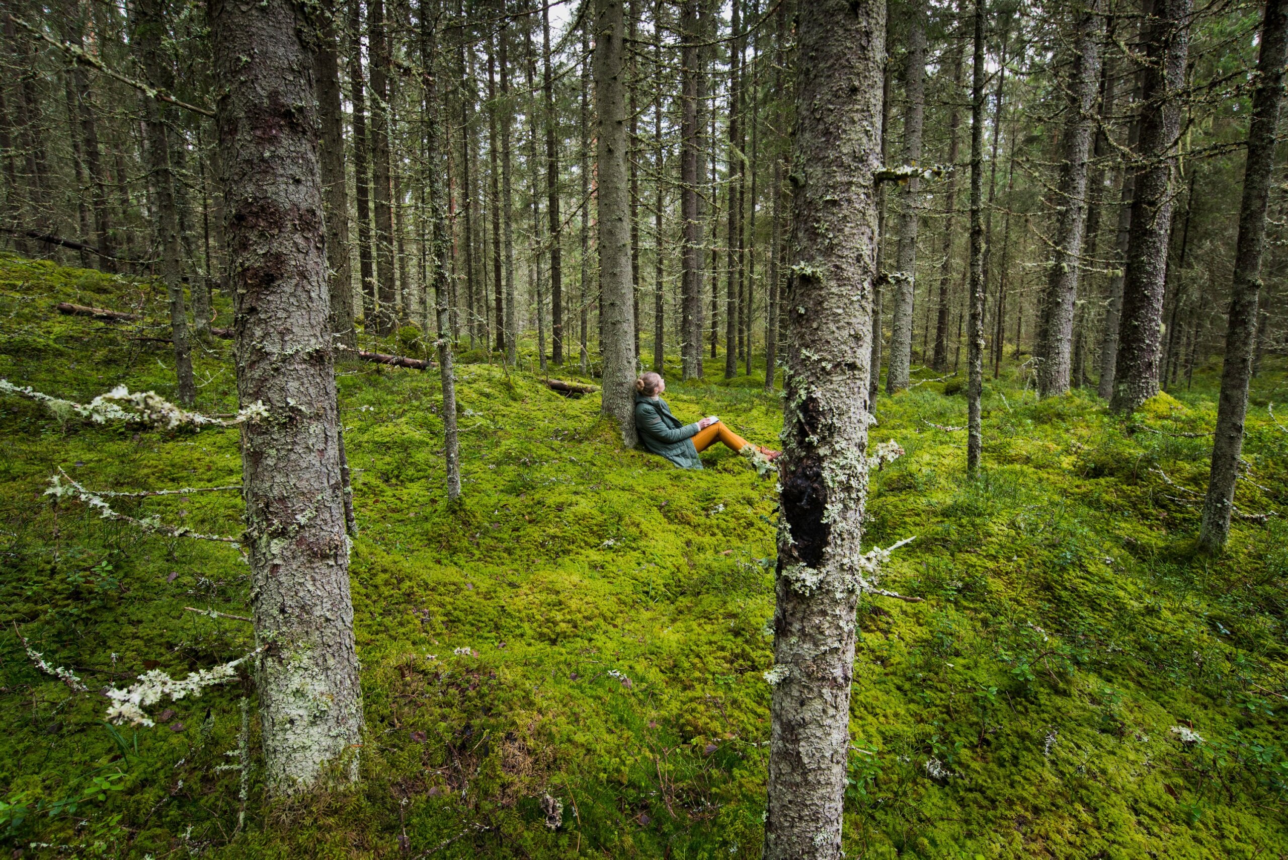Woman sits in mossy green forest with sketch pad
