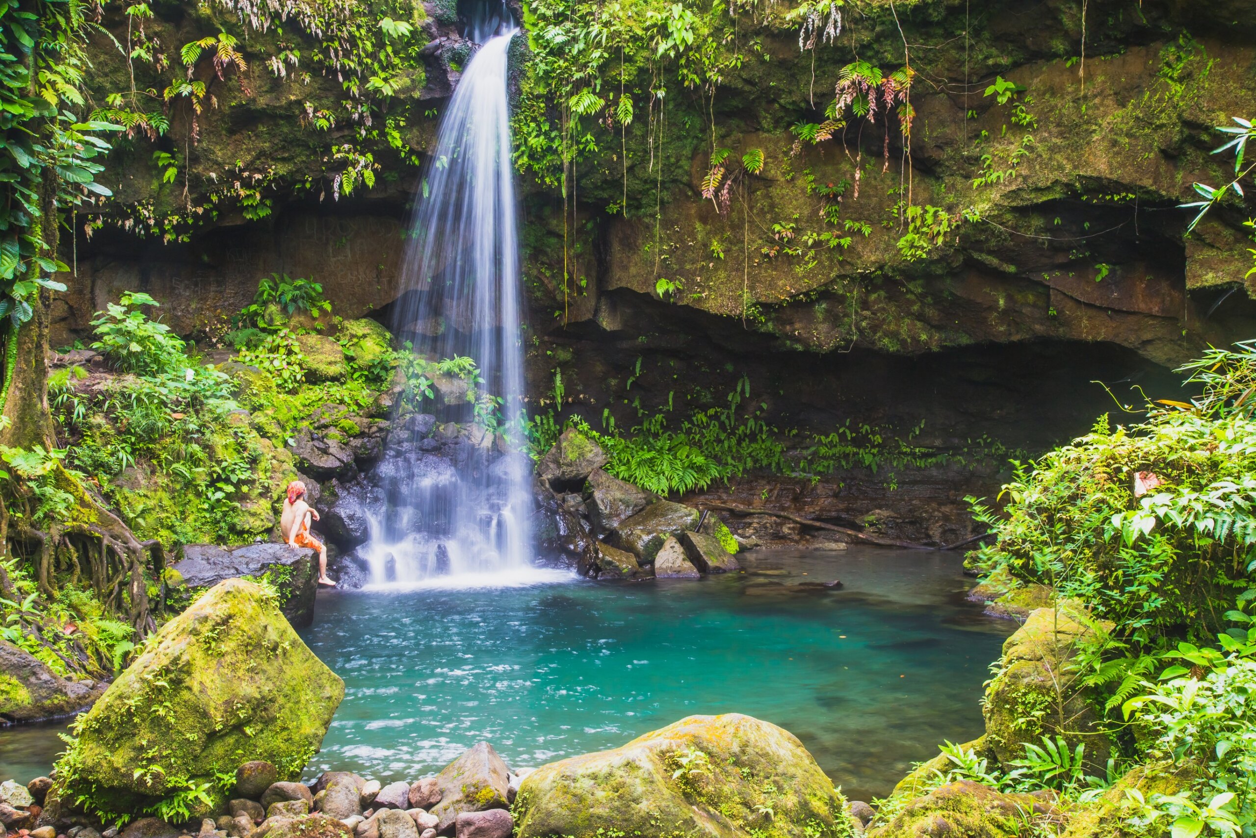 A swimmer enjoying Emerald Pool in the lush rain forest, the waterfall is a beautiful jewel of Dominica in the Caribbean
