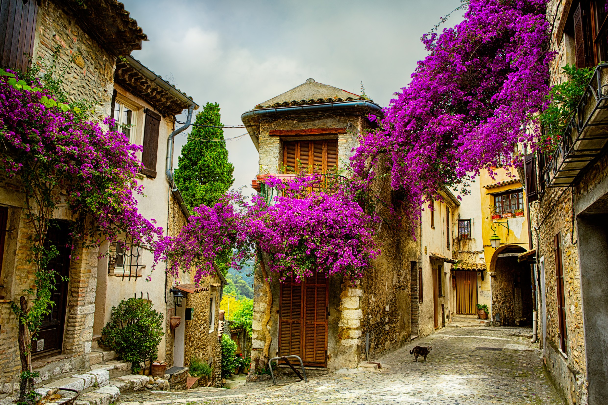 art beautiful old town of Provence
