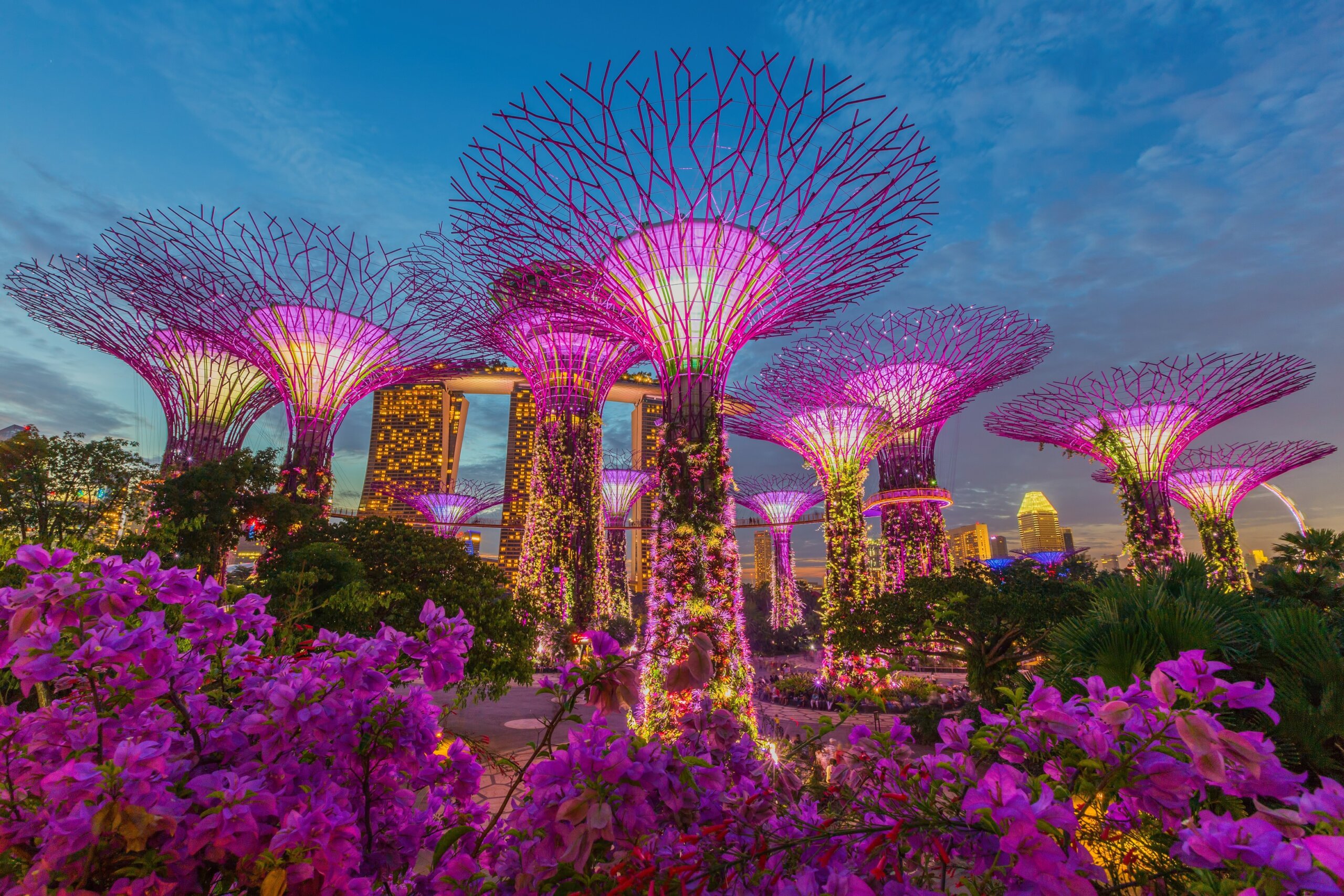 Gardens by the Bay in Singapore glowing at night with Supertree Grove lights and Marina Bay Sands in the background