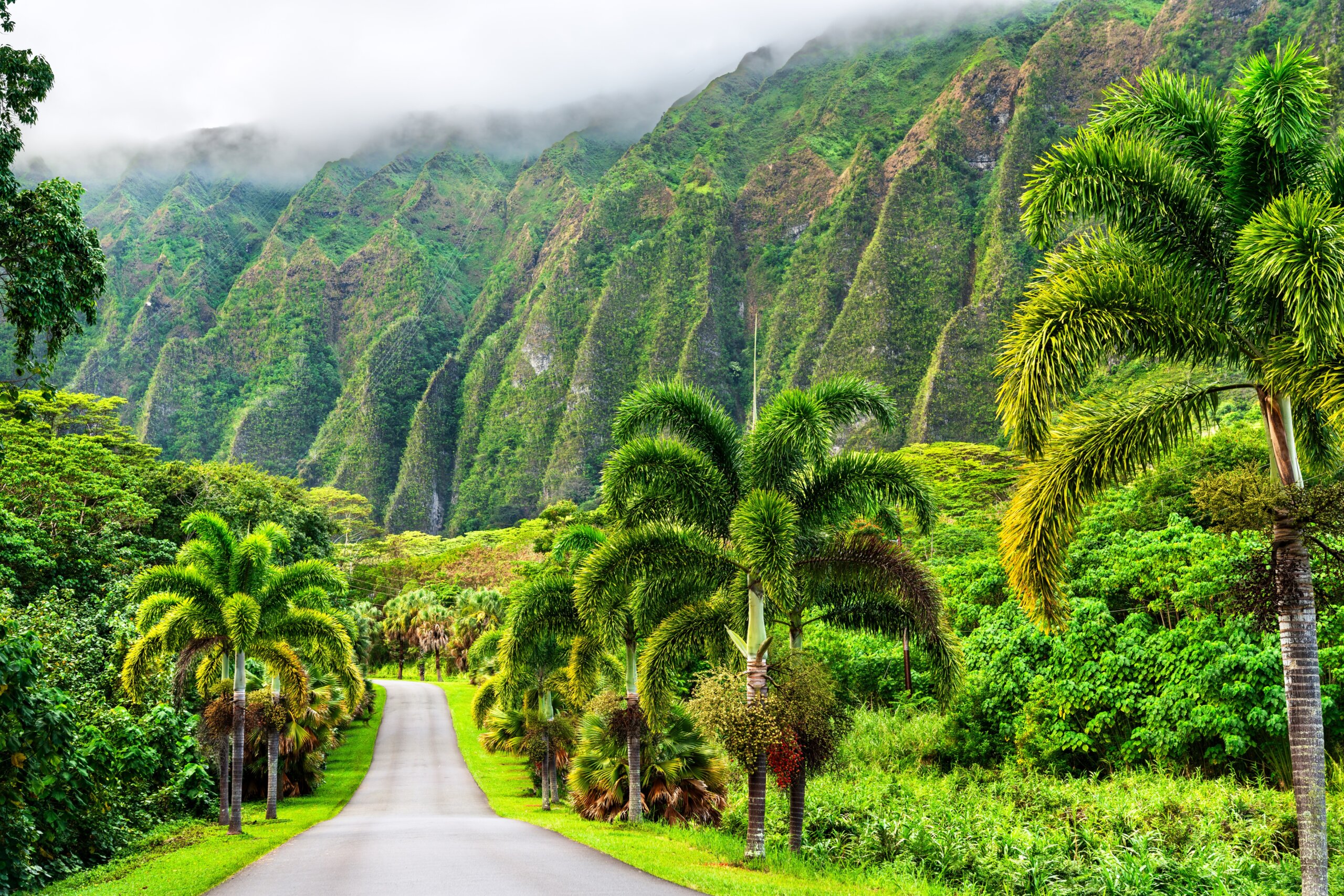 Ho'omaluhia Botanical Park views of Ko'olau mountains on Oahu - Hawaii, United States
