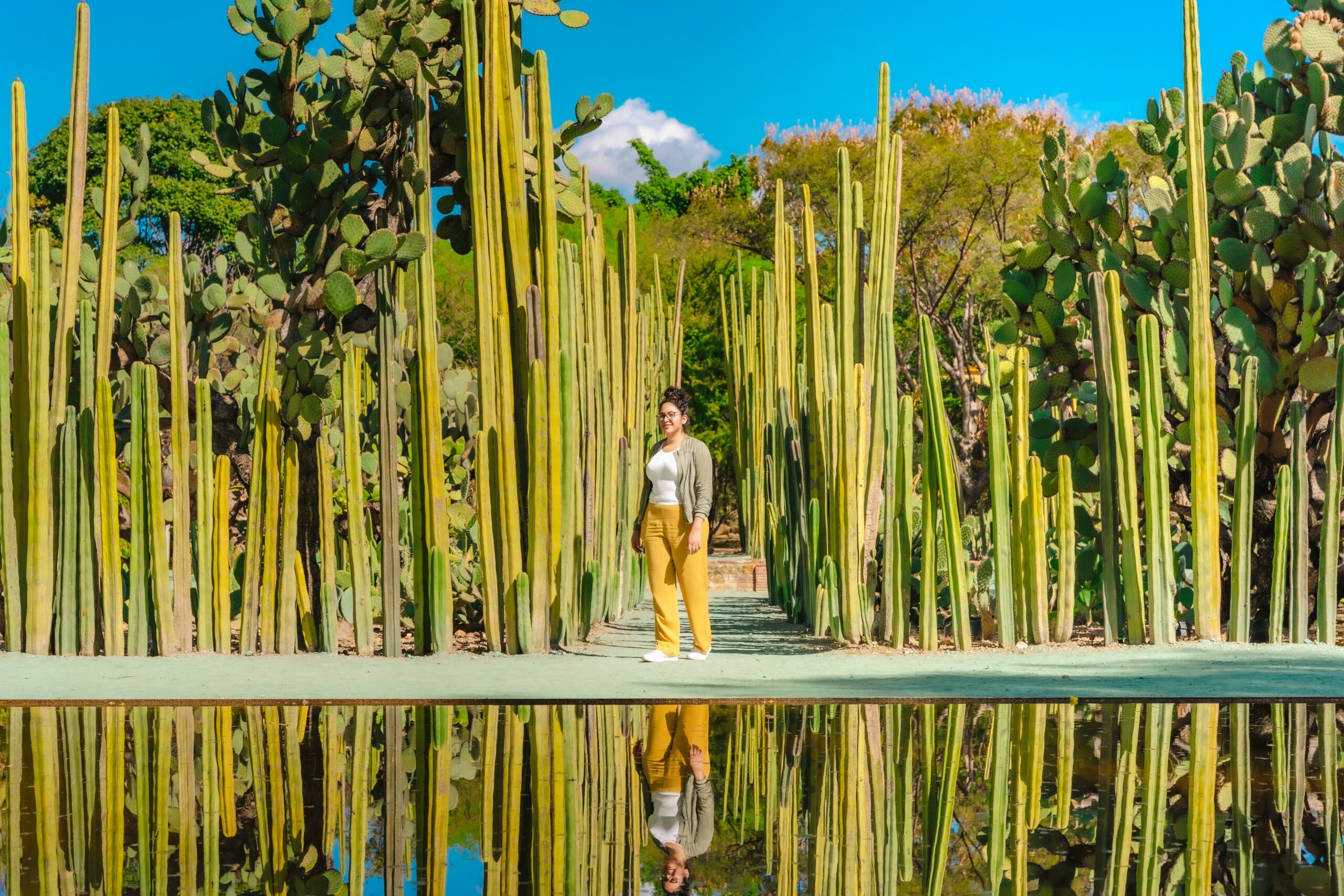 Young Latina woman standing confidently among tall cacti with reflection in water. Calm and peaceful. Taken in the Ethnobotanical Garden next to Santo Domingo in Oaxaca, Mexico.