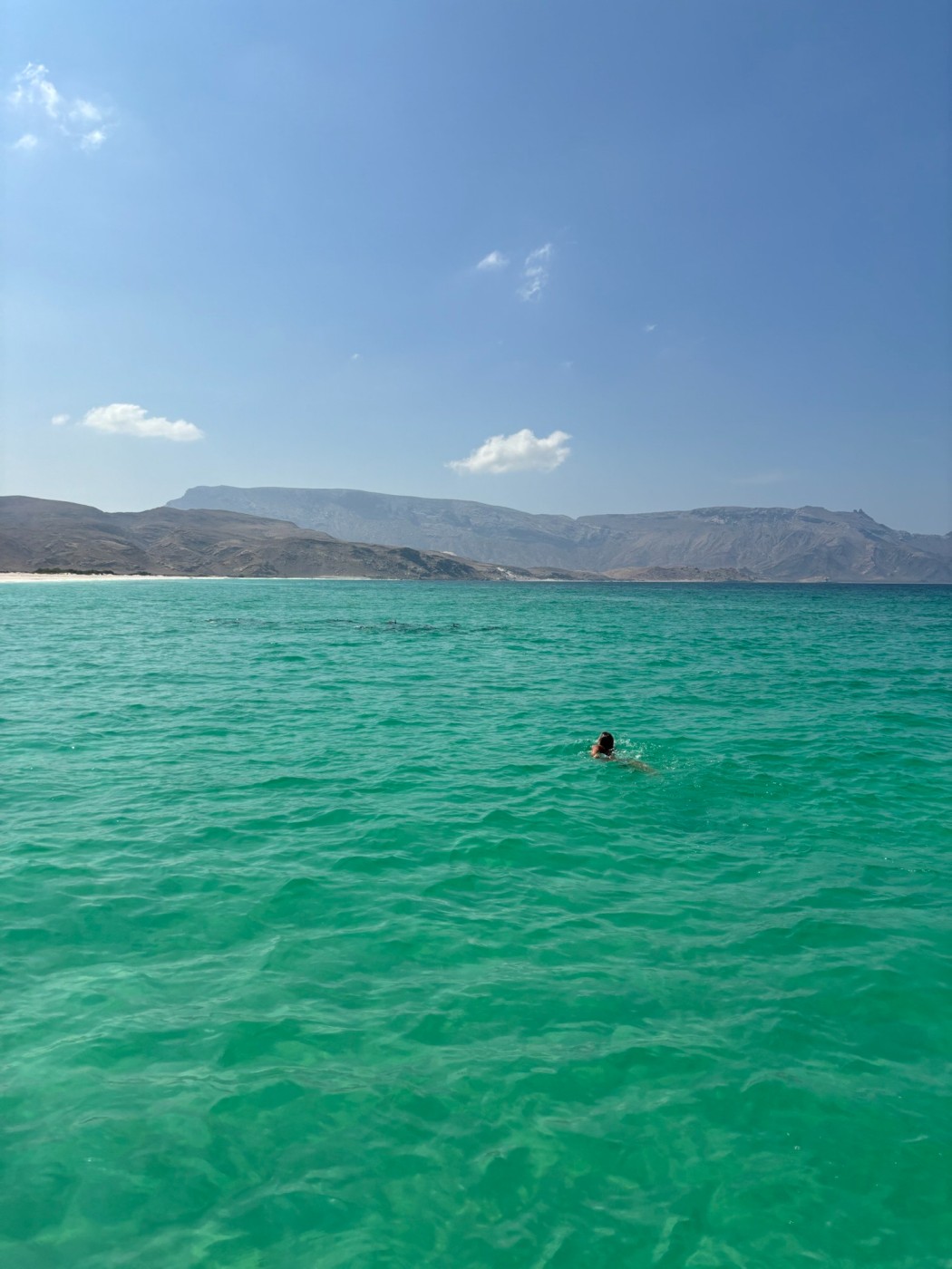Swimming in the clear water completely alone (besides the dolphins) in socotra island. 
