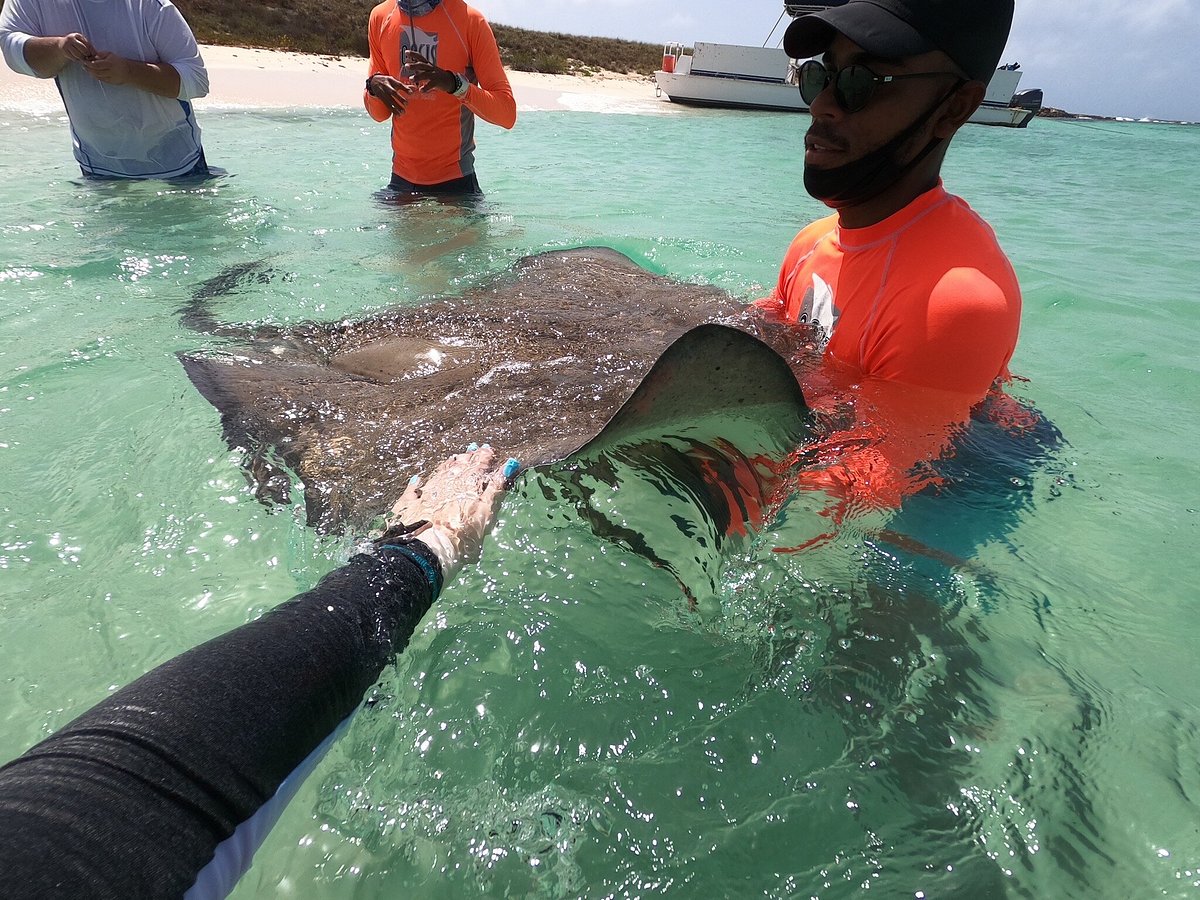 Photos of Oasis Divers tour company - fully licensed 