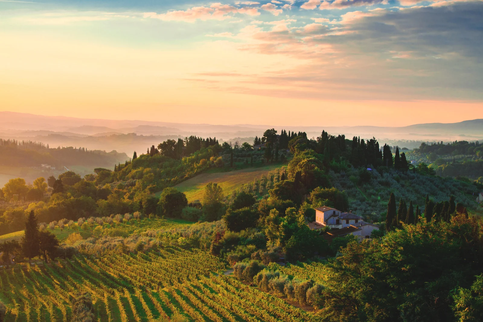 Sunset over vineyards in Tuscany — a relaxing retirement bucket list vacation for middle-class retirees.
