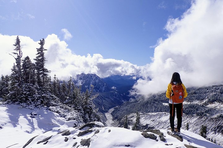 Winter snowshoe tour in Mount Rainier National Park, Washington