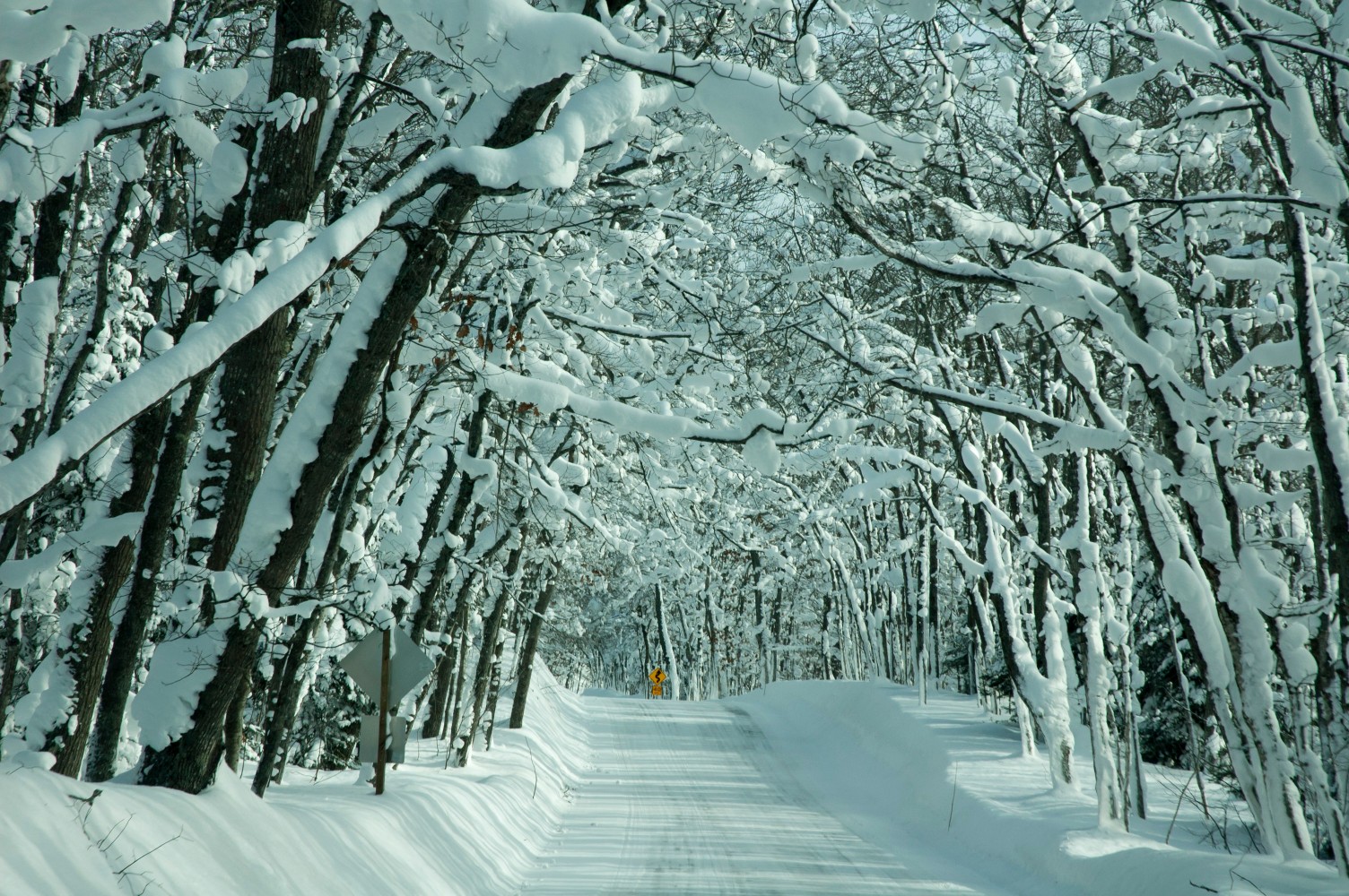 Snow Covered Road with Canopy of Snow Covered Trees in the Upper Peninsula of Michigan
