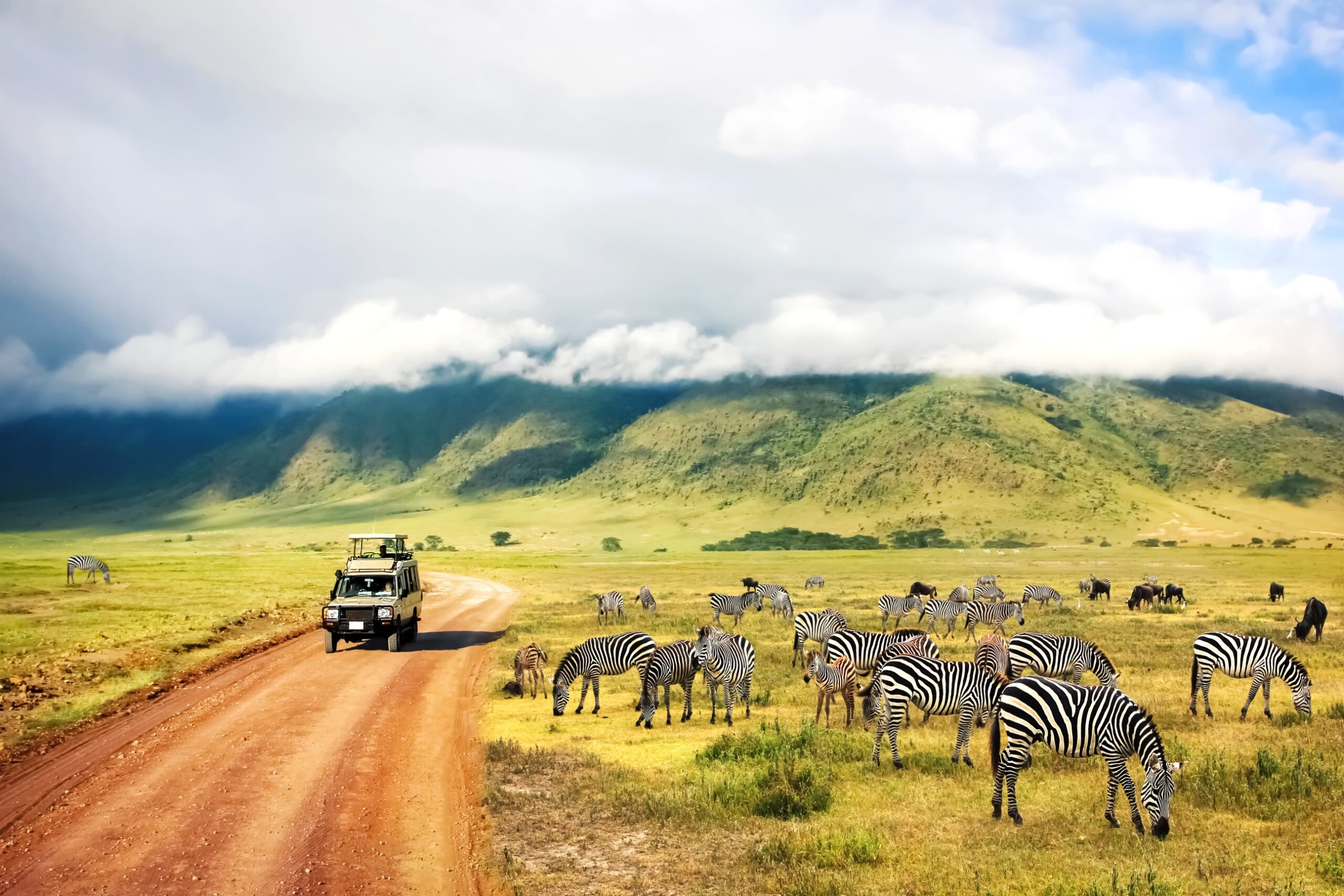 Safari jeep driving through the Serengeti in Tanzania after updated U.S. travel advisory