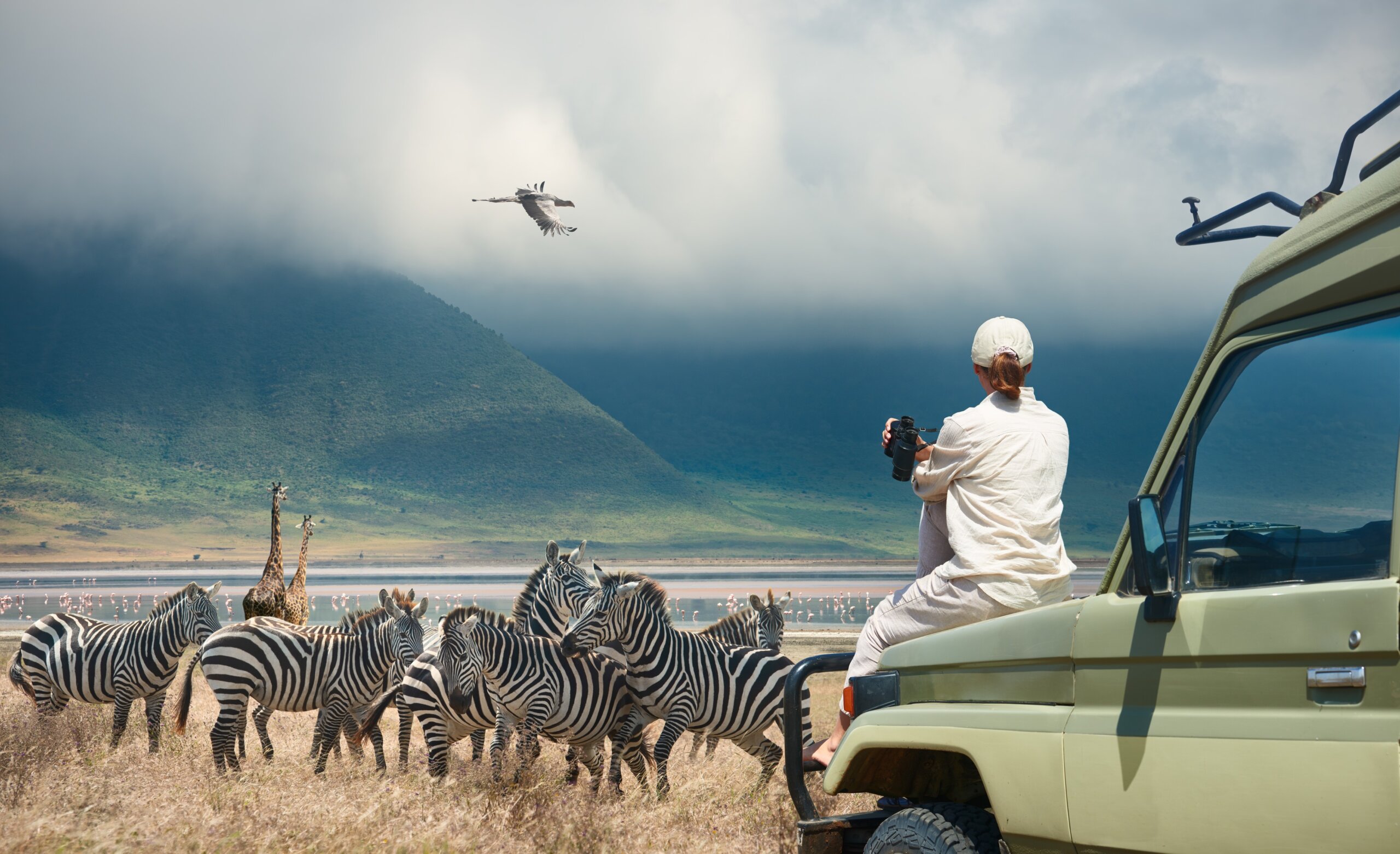 Woman tourist on safari-tour in Africa, traveling by car in Tanzania, watching wild animals and birds in the National park Ngorongoro