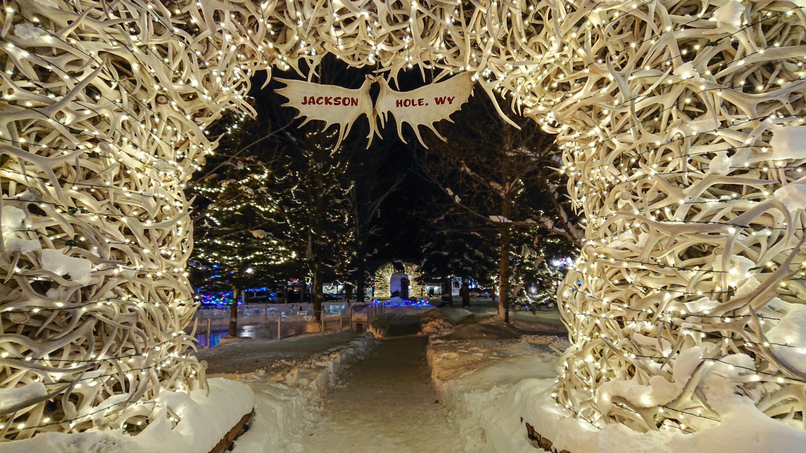 Christmas lights arc over a walkway in a snowy park in Jackson Hole.