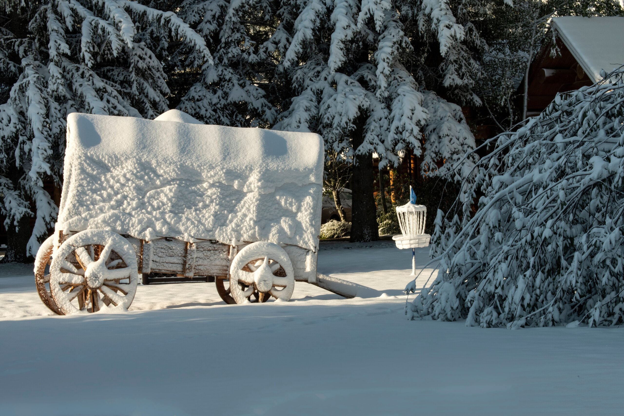 Snow-covered wooden wagon surrounded by snowy trees in a winter forest.