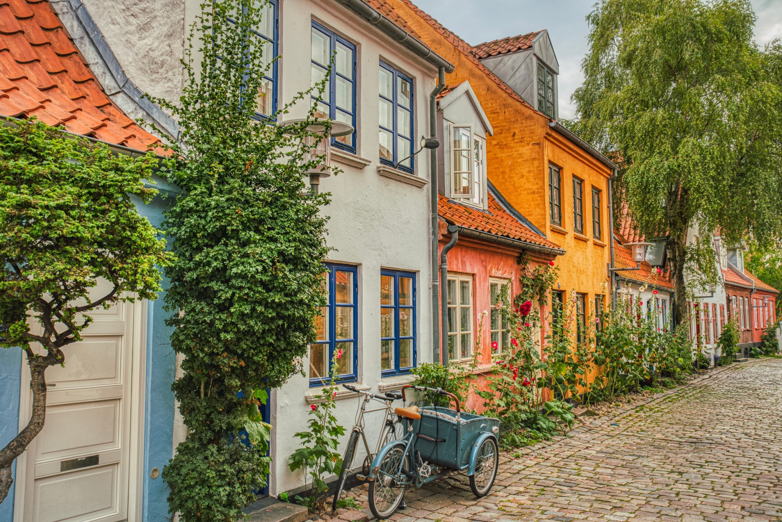 Colorful historic houses along a cobblestone street with bicycles and greenery