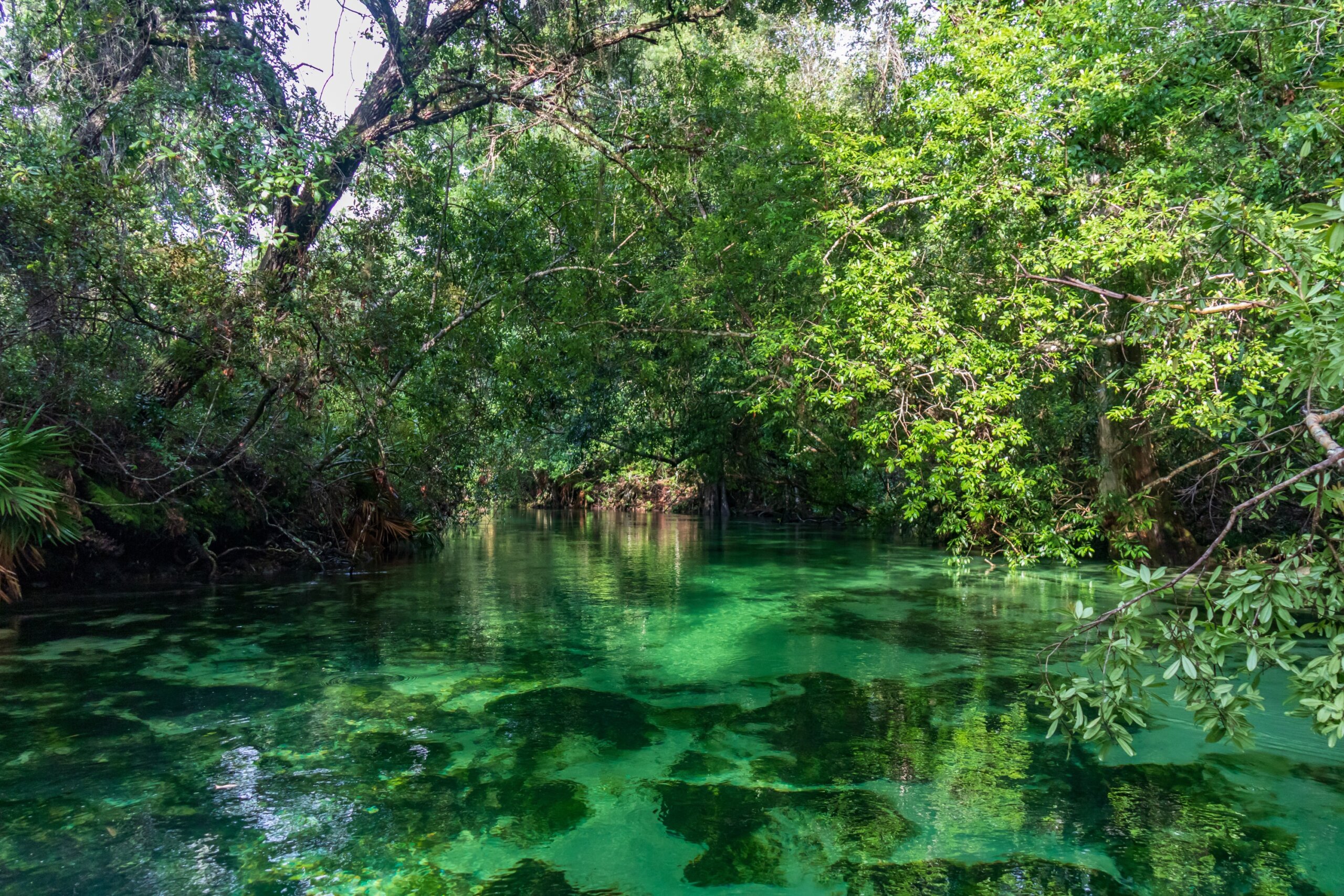 Weeki Wachee River, Florida
