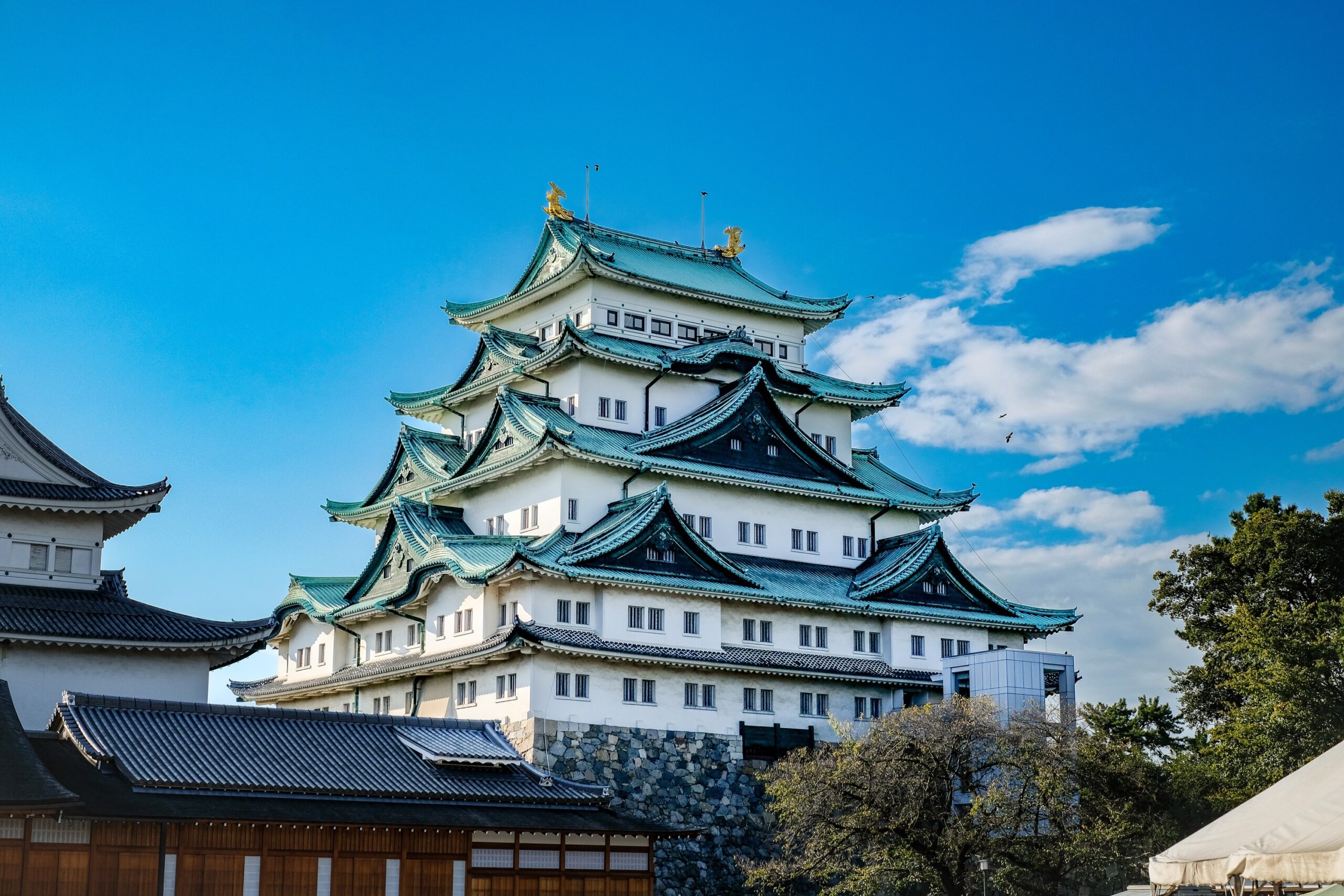 Nagoya, Japan: October 2022 Nagoya castle with a clear sky during autumn leaves seasoning. Nagoya castle is a top landmark in Chubu central of Japan and has samurai as the castle symbol.