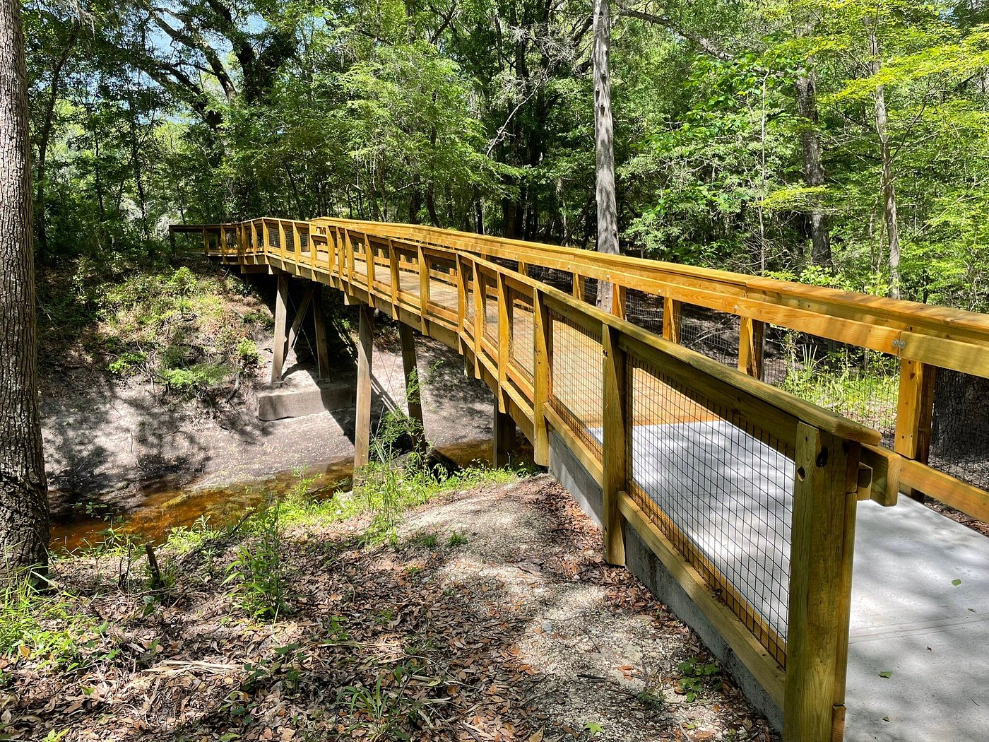 Florida National Scenic Trail in Suwannee River State Park, Florida